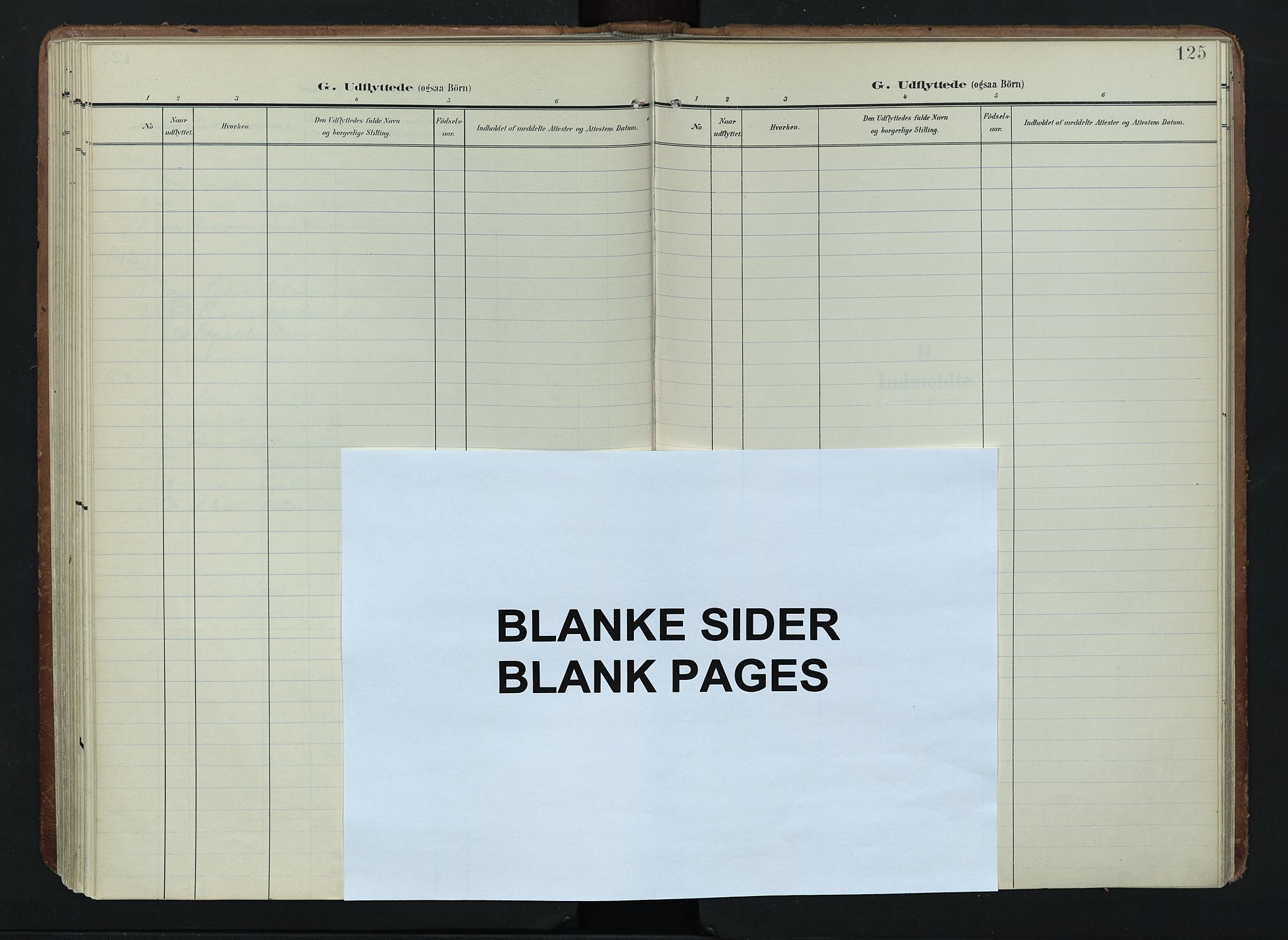 Søndre Land prestekontor, AV/SAH-PREST-122/K/L0005: Parish register (official) no. 5, 1905-1914, p. 125