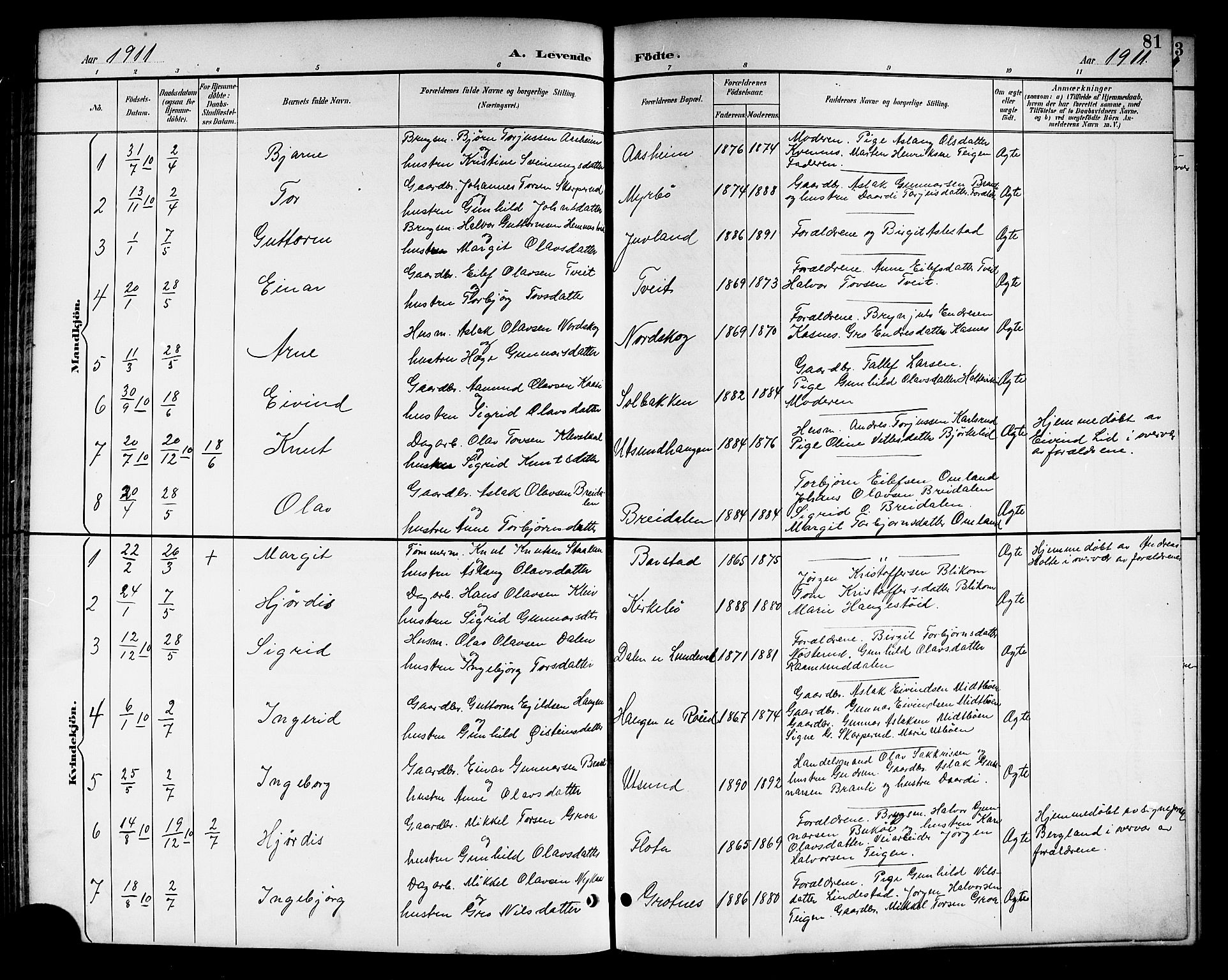 Kviteseid kirkebøker, SAKO/A-276/G/Ga/L0002: Parish register (copy) no. I 2, 1893-1918, p. 81
