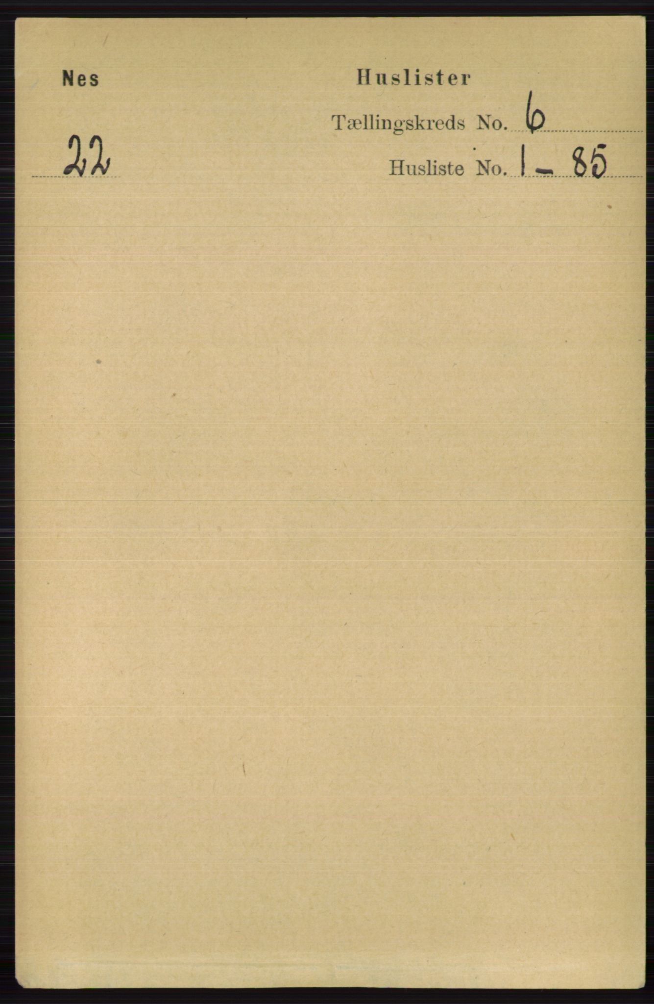 RA, 1891 census for 0616 Nes, 1891, p. 2945