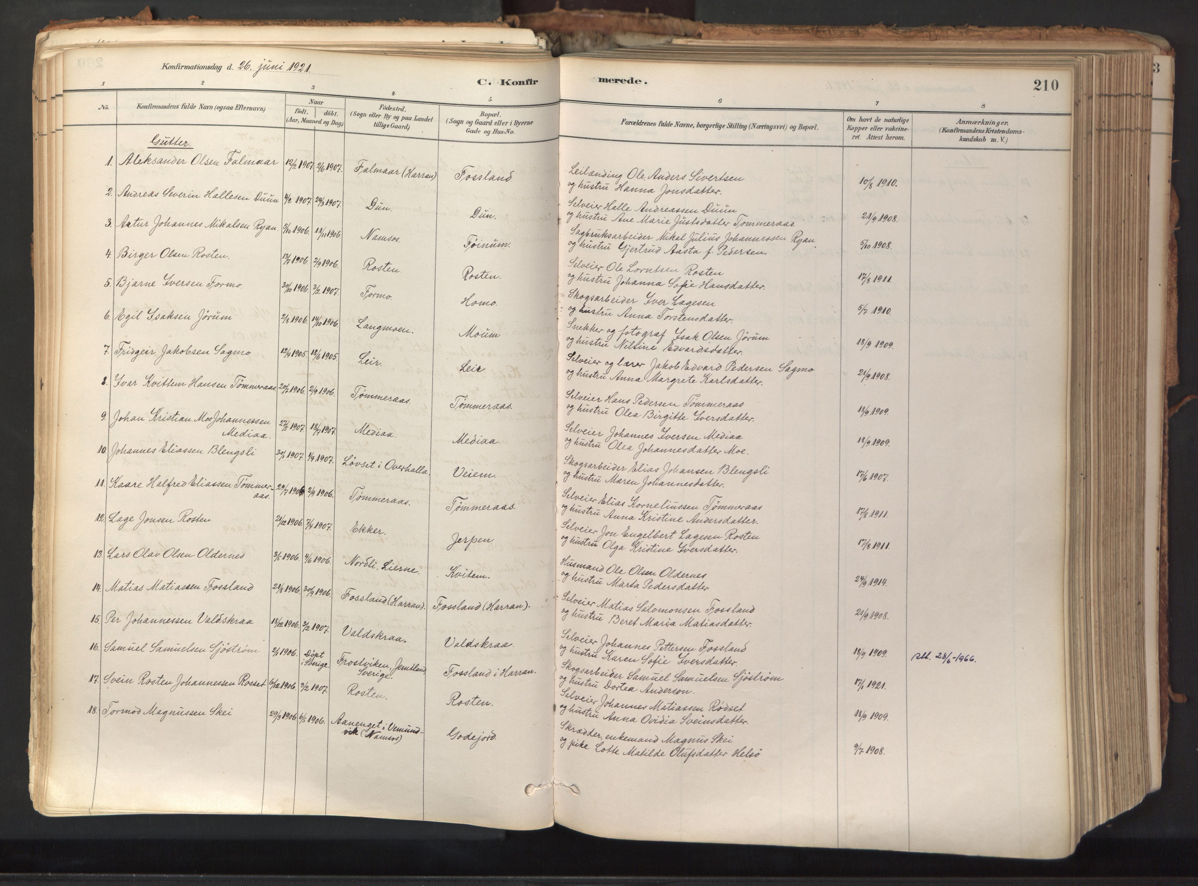Ministerialprotokoller, klokkerbøker og fødselsregistre - Nord-Trøndelag, SAT/A-1458/758/L0519: Parish register (official) no. 758A04, 1880-1926, p. 210