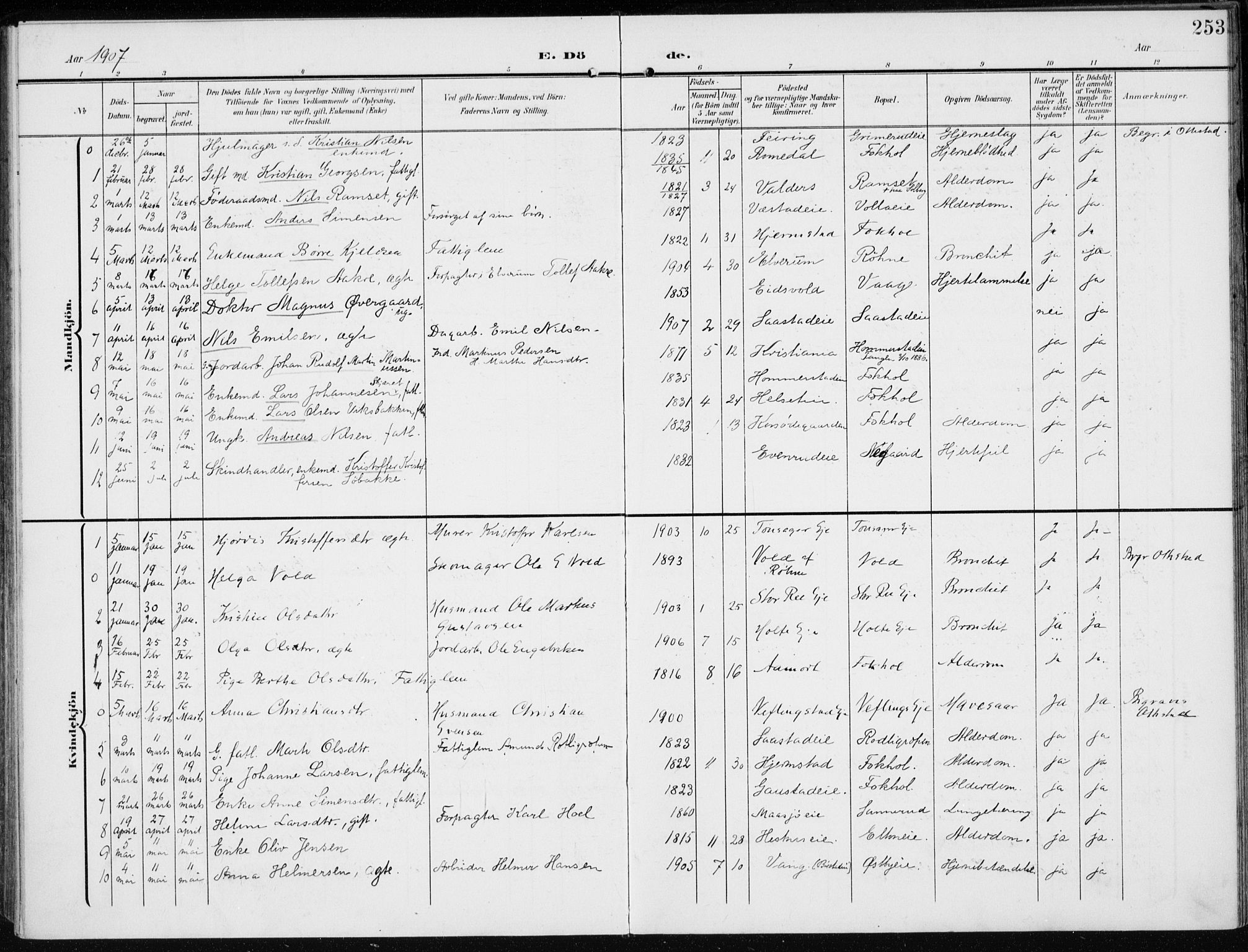 Stange prestekontor, SAH/PREST-002/K/L0024: Parish register (official) no. 24, 1906-1922, p. 253
