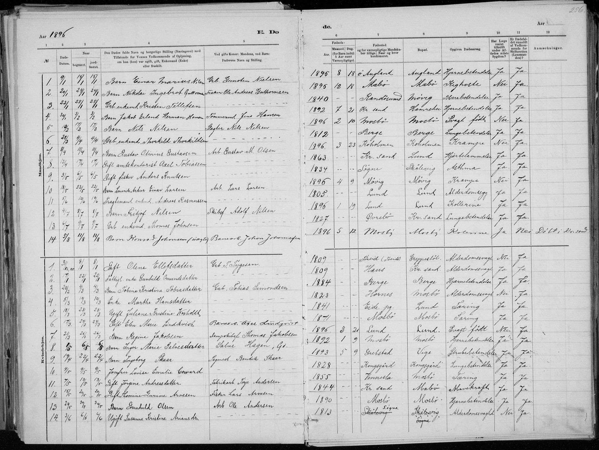 Oddernes sokneprestkontor, AV/SAK-1111-0033/F/Fa/Faa/L0009: Parish register (official) no. A 9, 1884-1896, p. 256