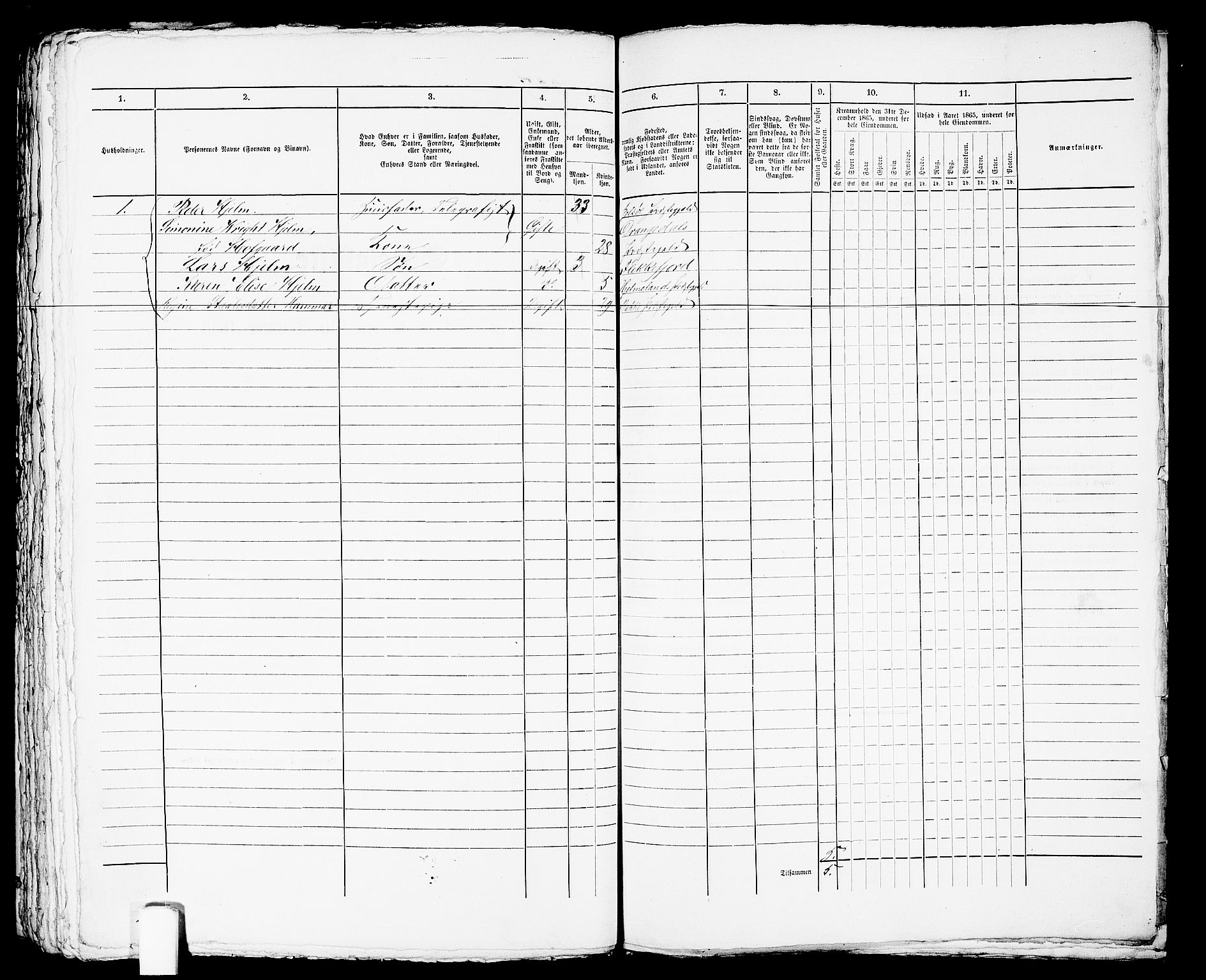 RA, 1865 census for Flekkefjord/Flekkefjord, 1865, p. 465