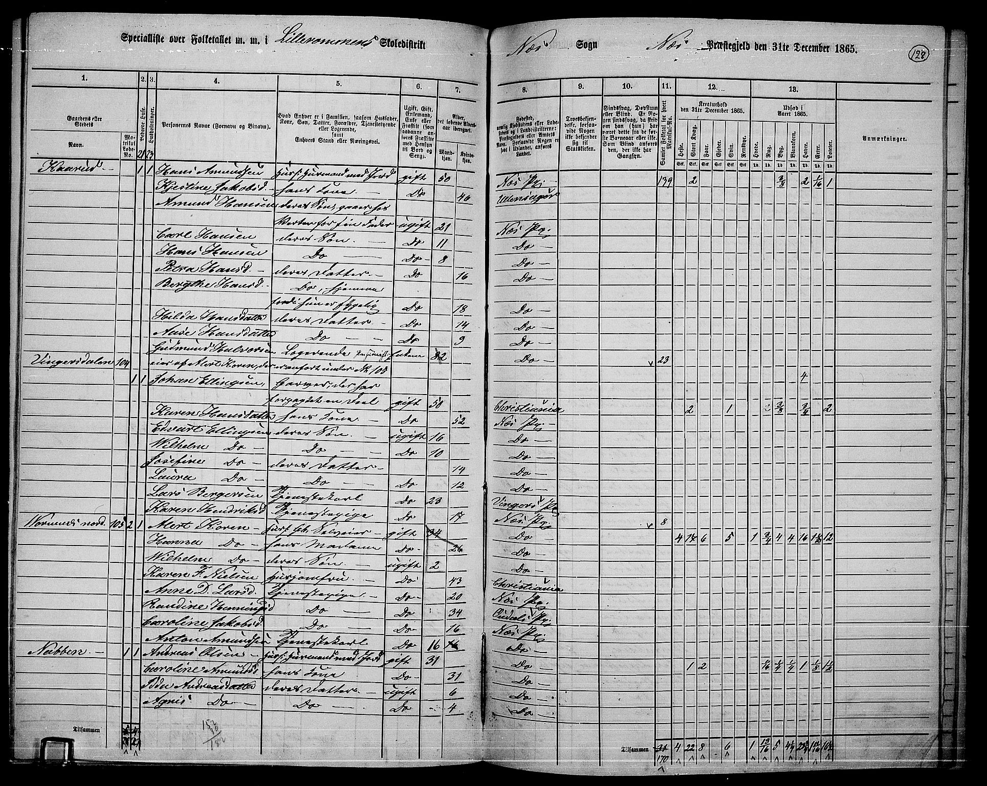 RA, 1865 census for Nes, 1865, p. 115