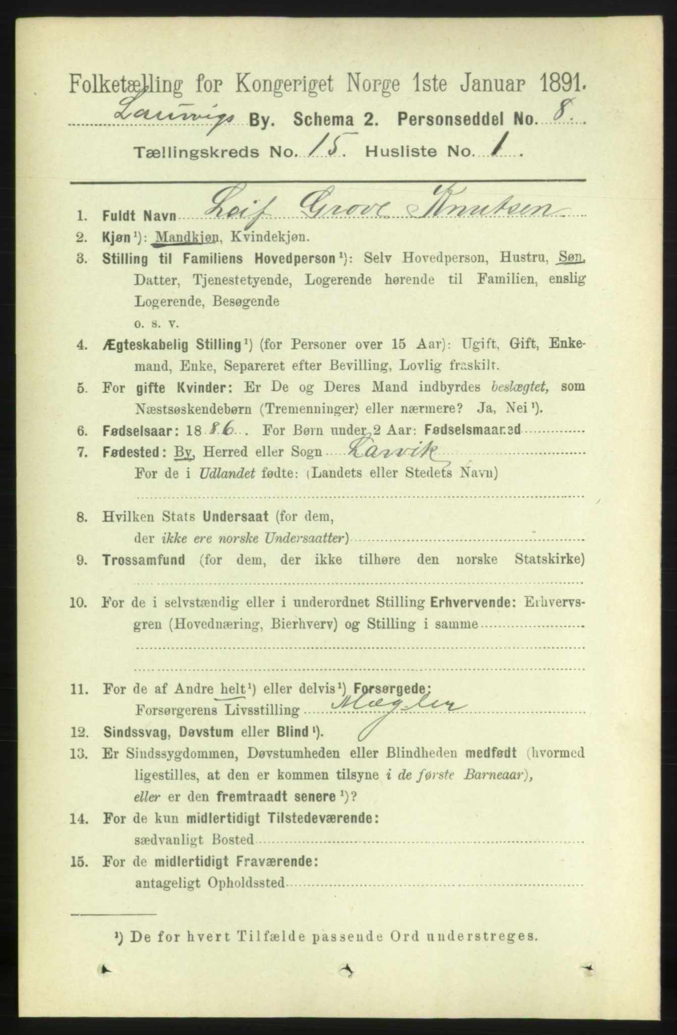 RA, 1891 census for 0707 Larvik, 1891, p. 11336