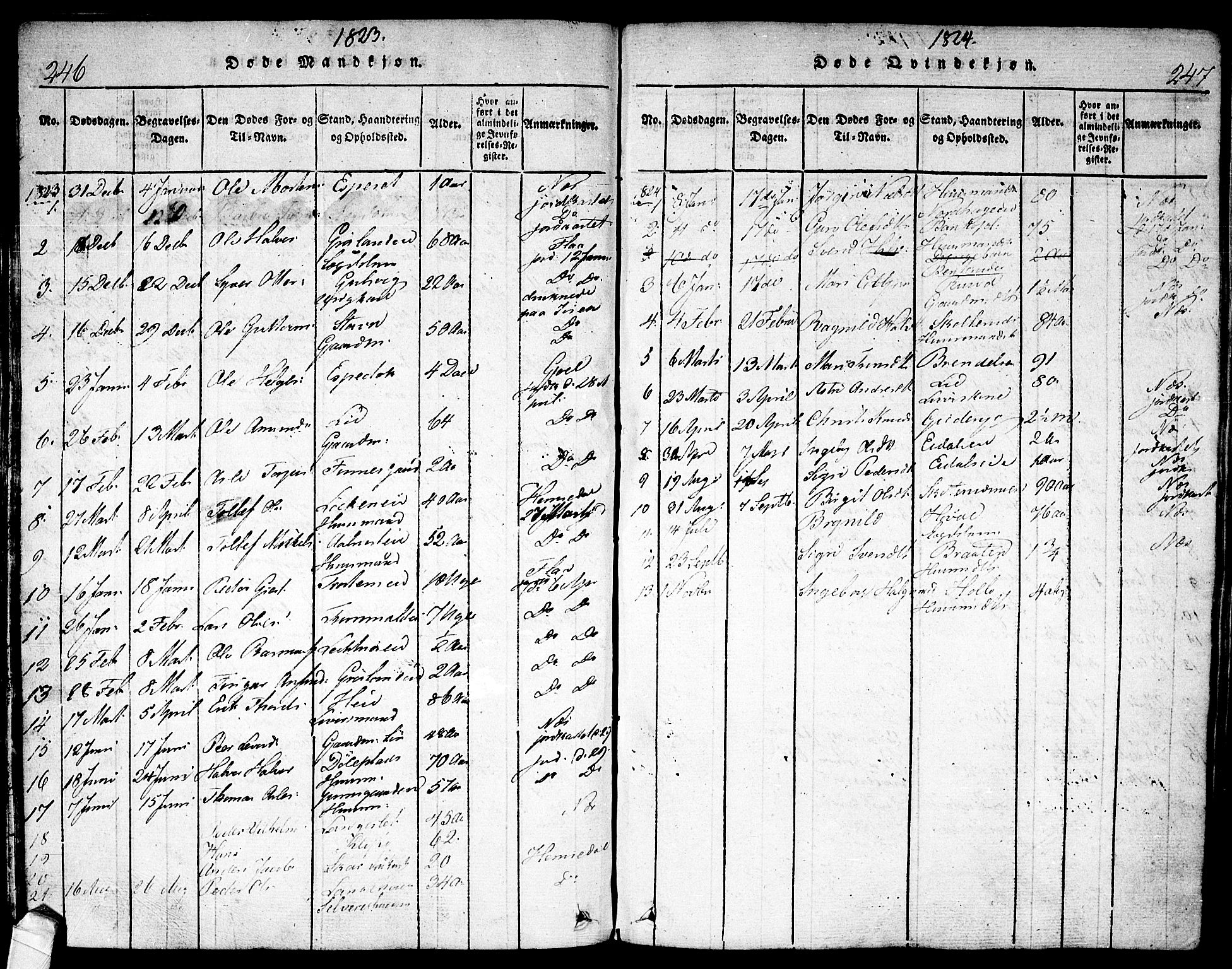 Nes kirkebøker, SAKO/A-236/F/Fa/L0007: Parish register (official) no. 7, 1815-1823, p. 246-247