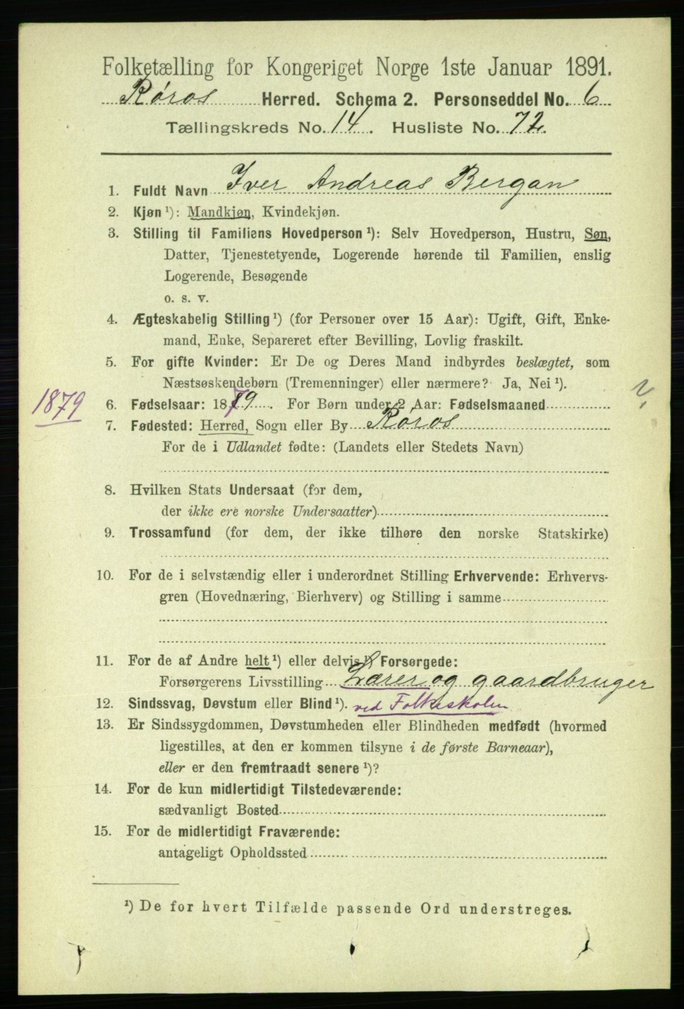 RA, 1891 census for 1640 Røros, 1891, p. 3257