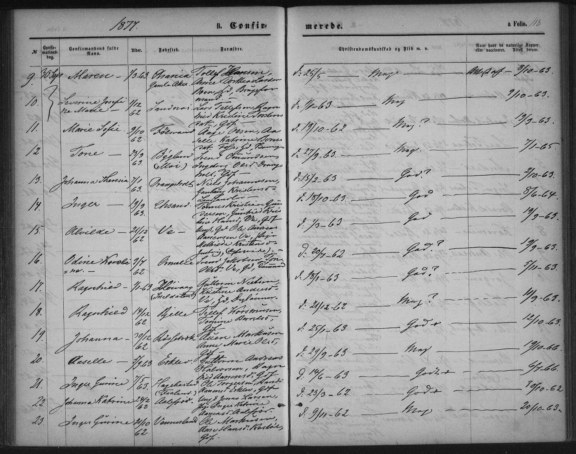 Tveit sokneprestkontor, AV/SAK-1111-0043/F/Fa/L0006: Parish register (official) no. A 6, 1872-1886, p. 118