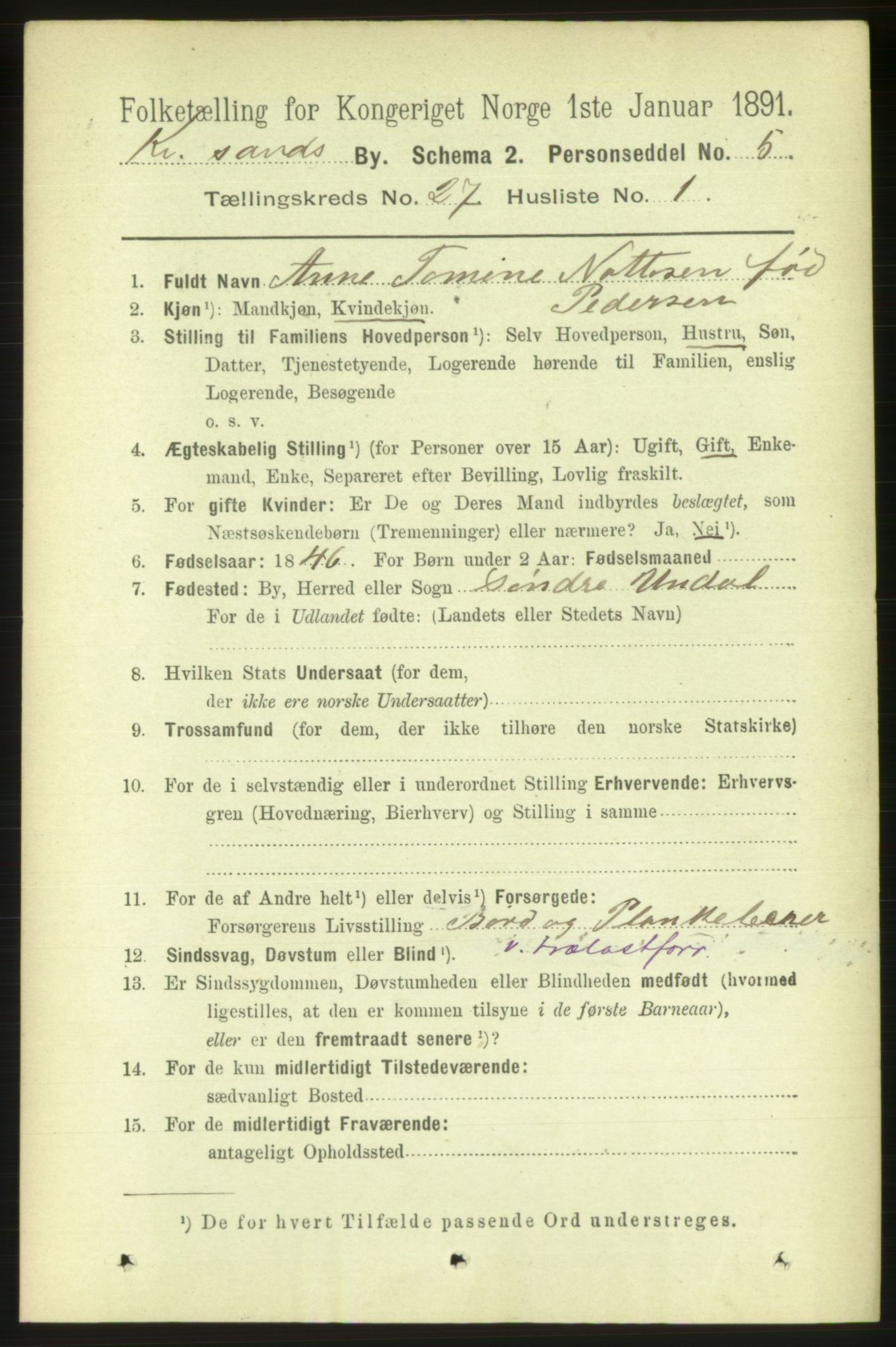 RA, 1891 census for 1001 Kristiansand, 1891, p. 9406