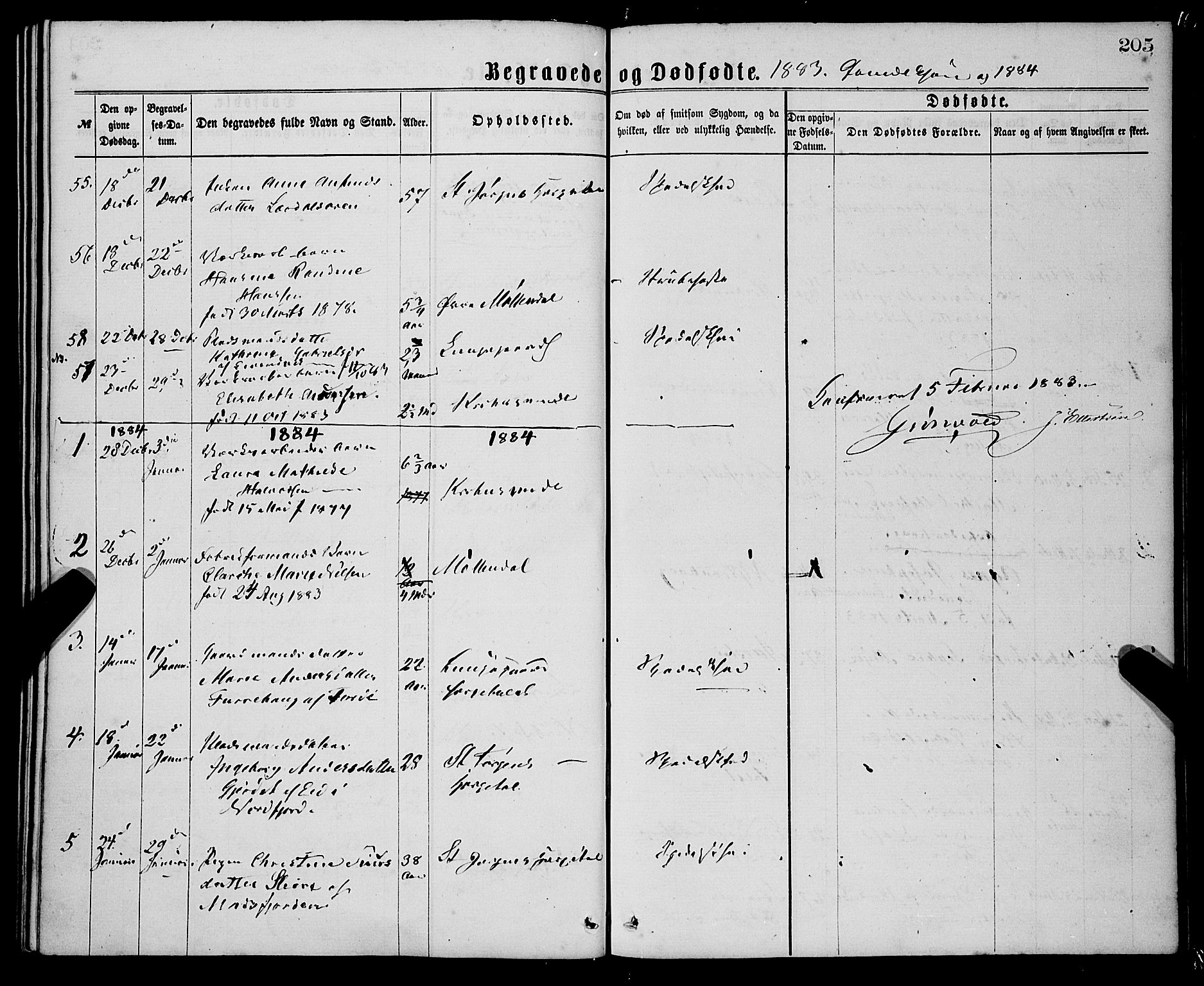 St. Jørgens hospital og Årstad sokneprestembete, SAB/A-99934: Parish register (official) no. A 11, 1864-1886, p. 205