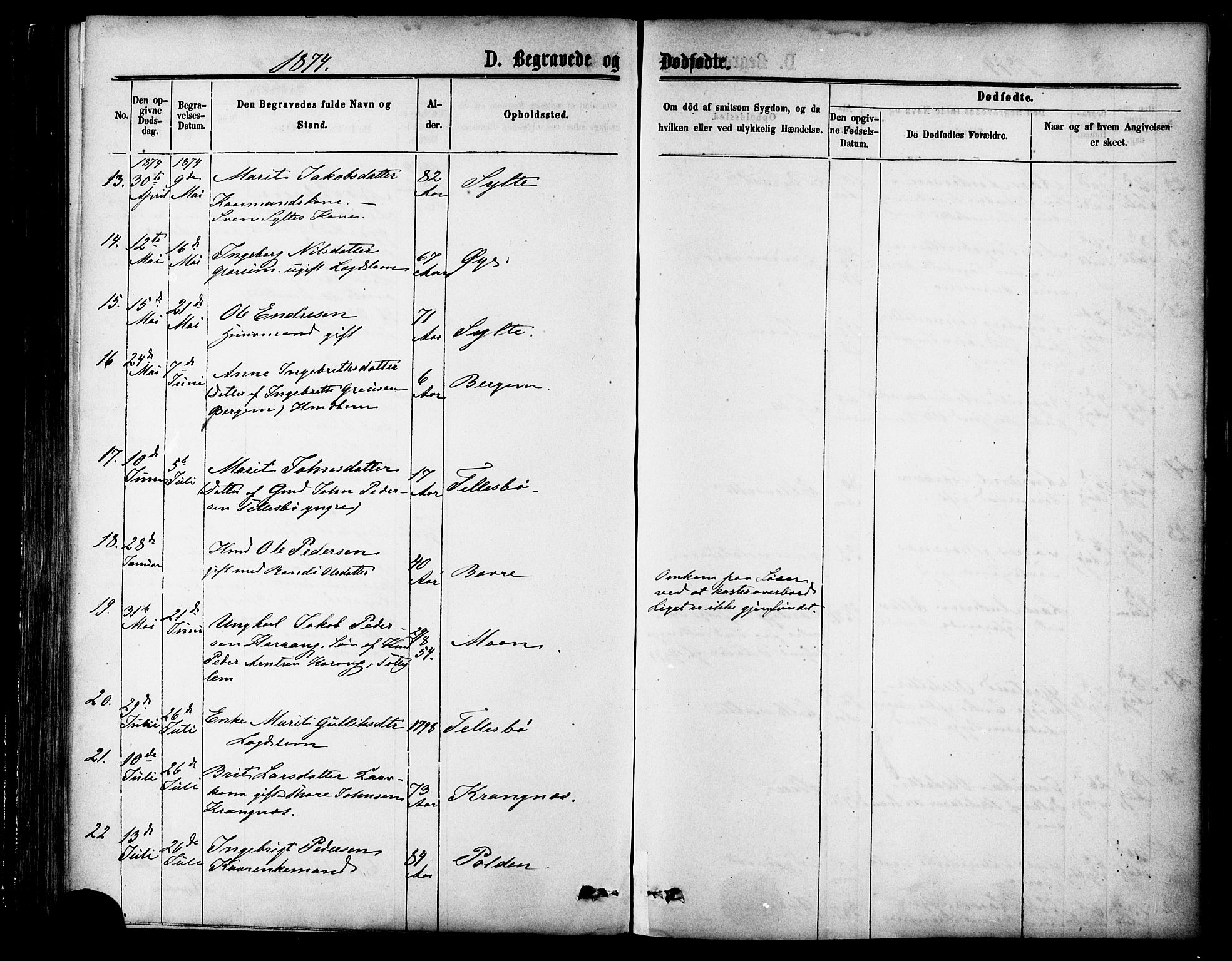 Ministerialprotokoller, klokkerbøker og fødselsregistre - Møre og Romsdal, AV/SAT-A-1454/595/L1046: Parish register (official) no. 595A08, 1874-1884