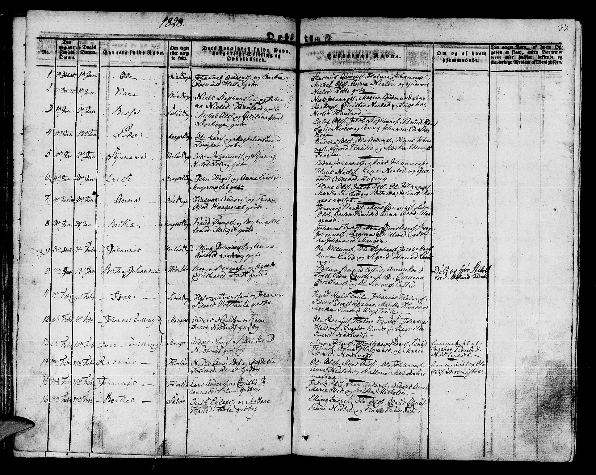 Manger sokneprestembete, SAB/A-76801/H/Haa: Parish register (official) no. A 4, 1824-1838, p. 37