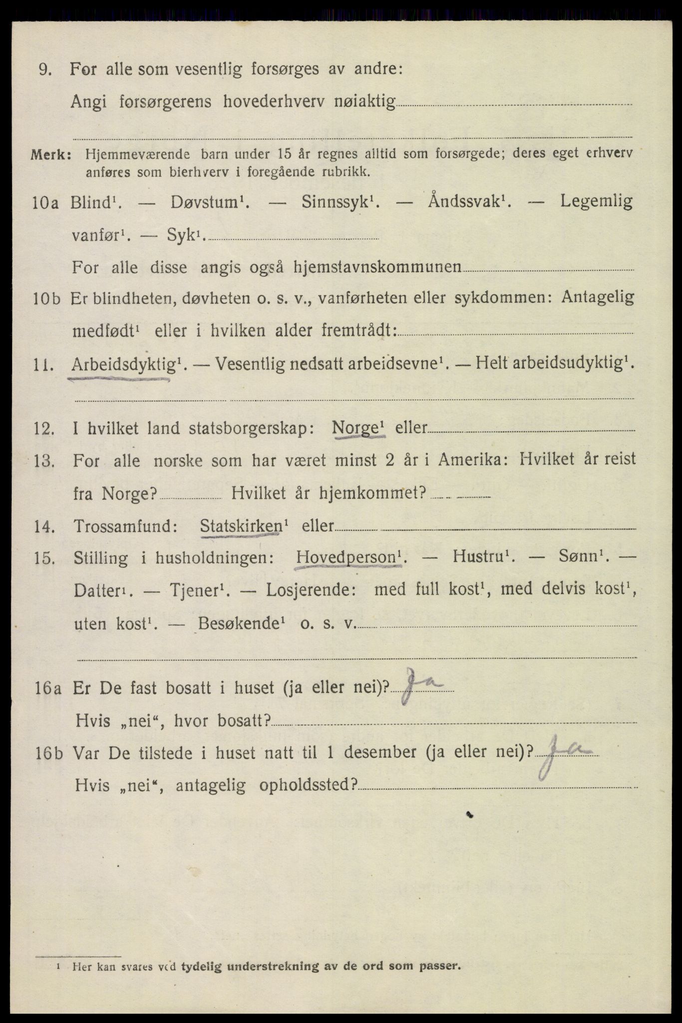 SAH, 1920 census for Engerdal, 1920, p. 916