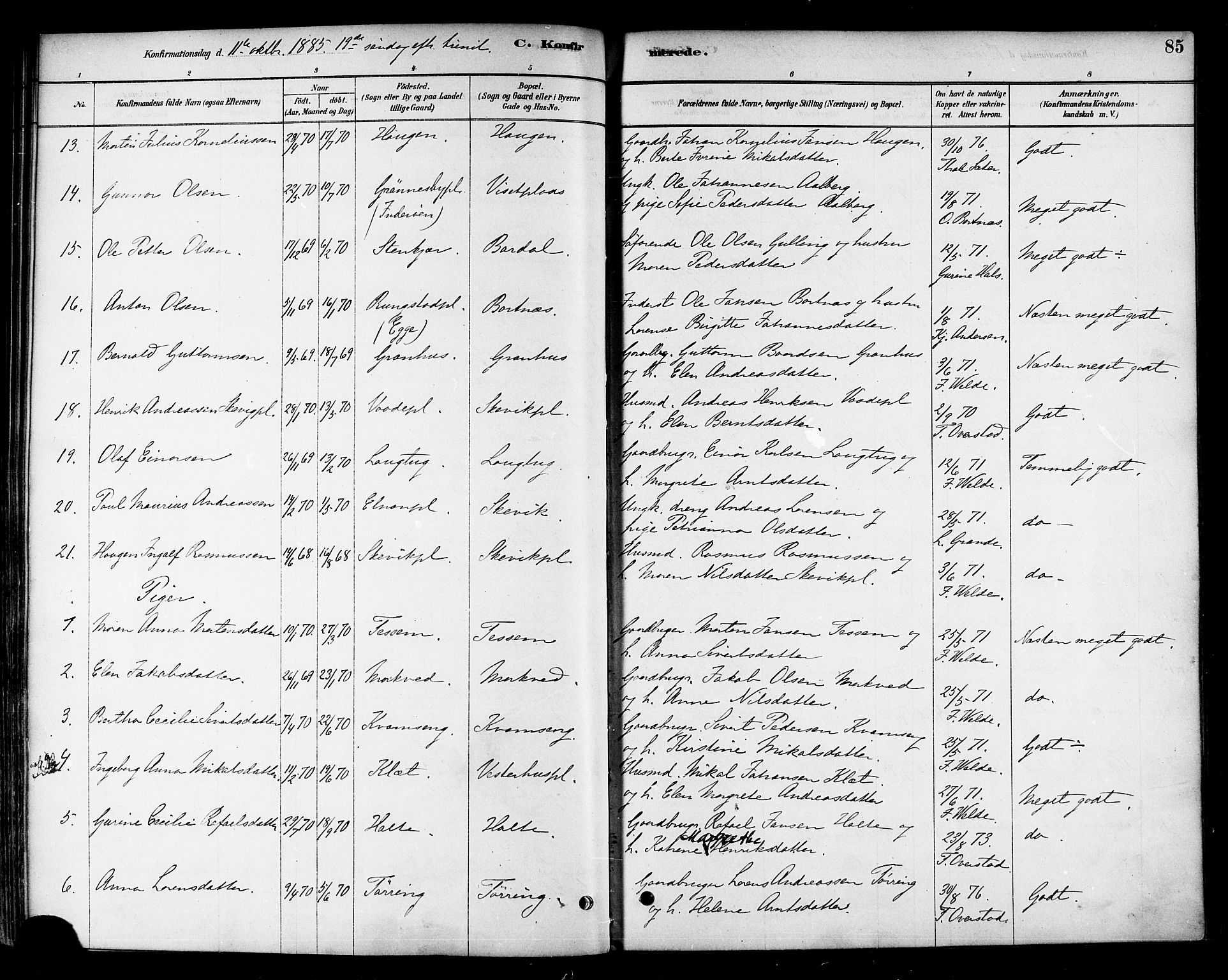 Ministerialprotokoller, klokkerbøker og fødselsregistre - Nord-Trøndelag, SAT/A-1458/741/L0395: Parish register (official) no. 741A09, 1878-1888, p. 85