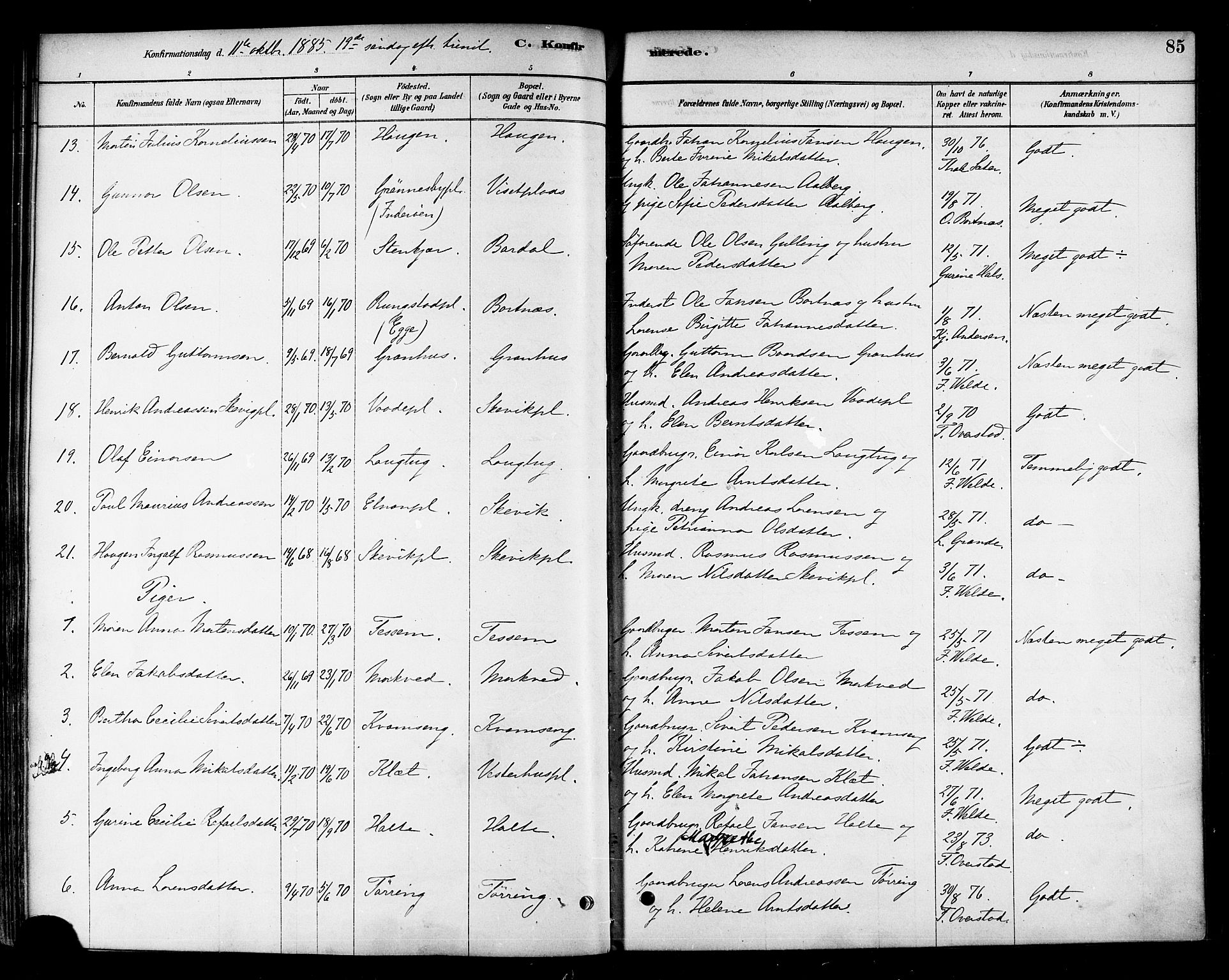 Ministerialprotokoller, klokkerbøker og fødselsregistre - Nord-Trøndelag, AV/SAT-A-1458/741/L0395: Parish register (official) no. 741A09, 1878-1888, p. 85