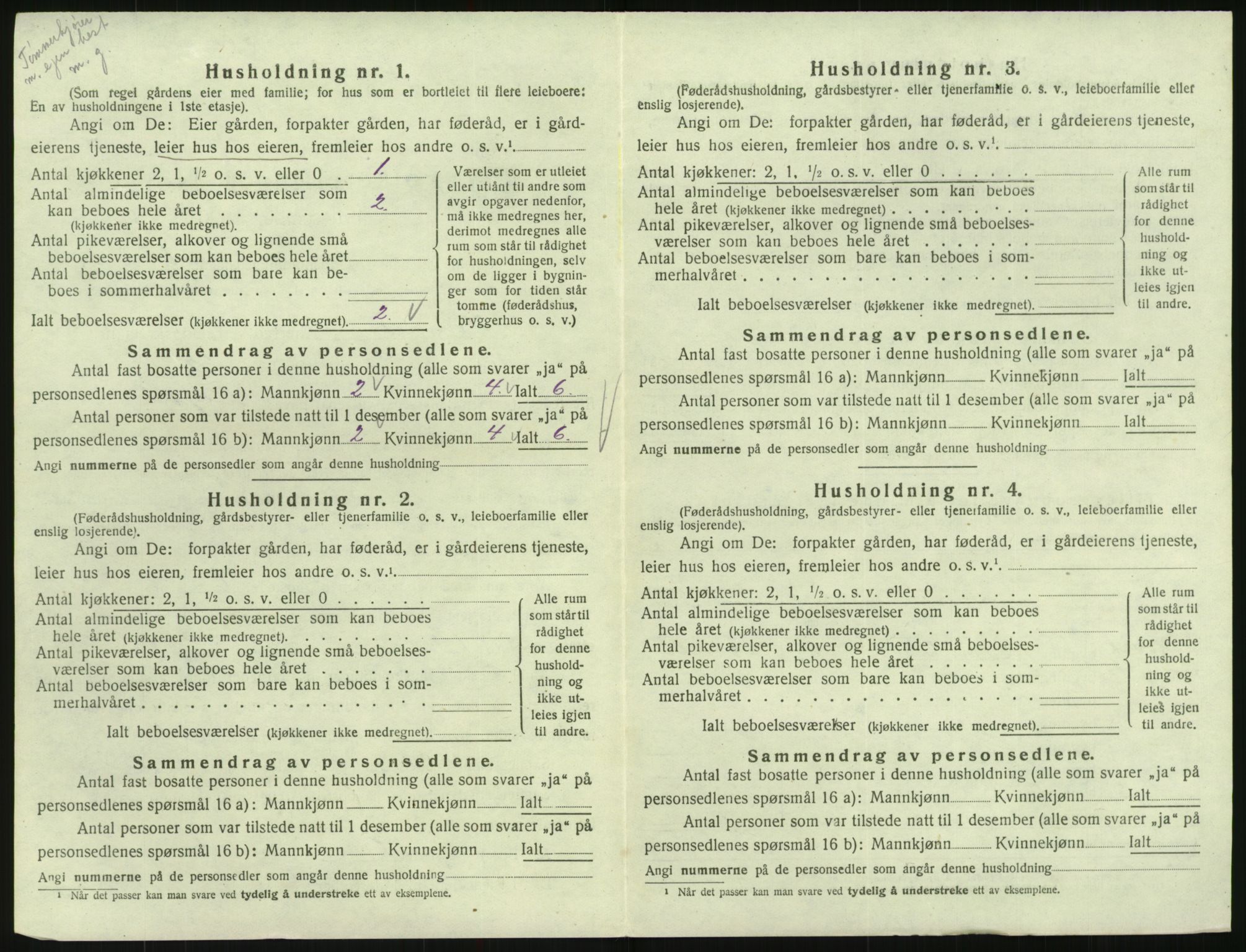 SAK, 1920 census for Hornnes, 1920, p. 206