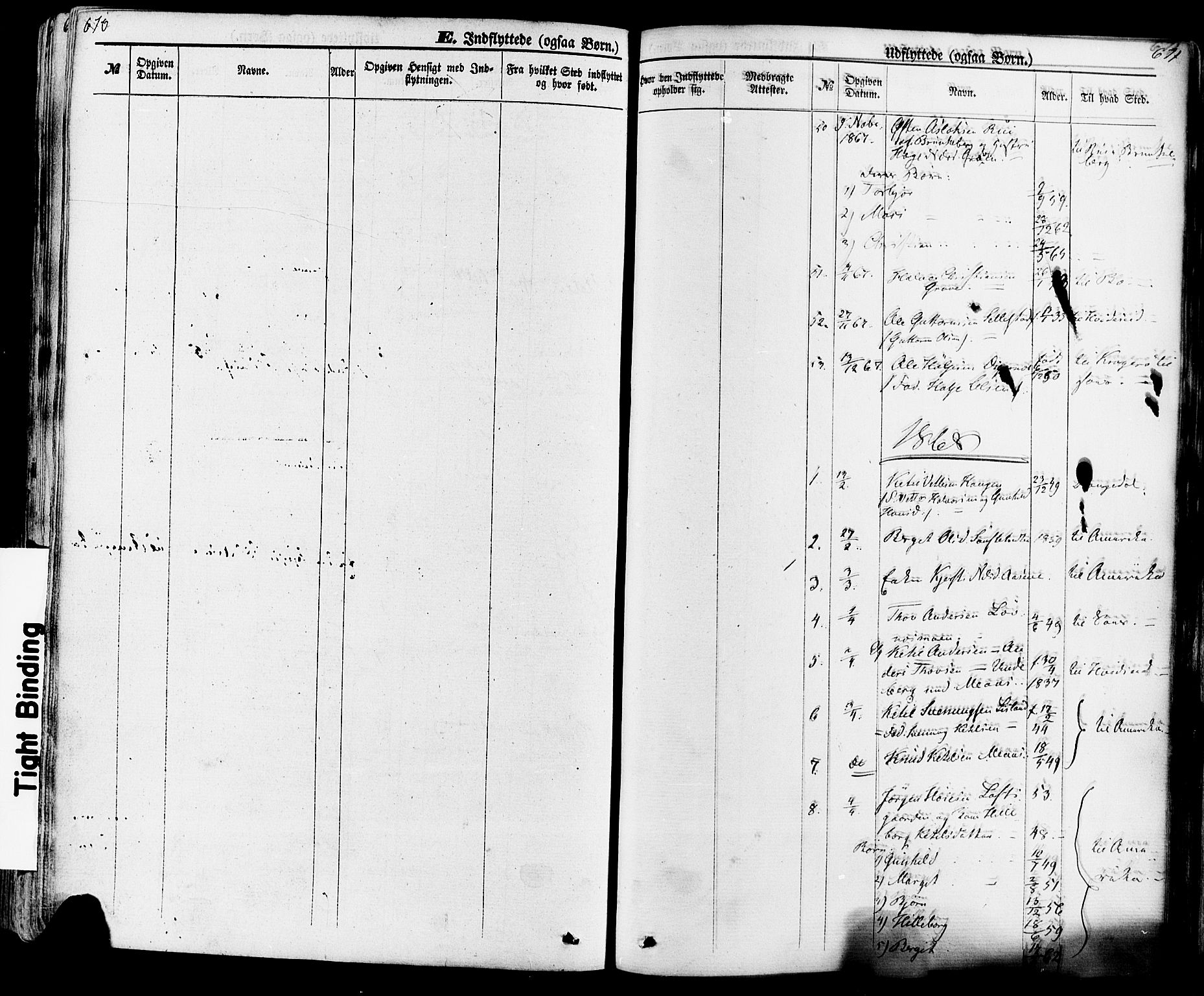 Seljord kirkebøker, SAKO/A-20/F/Fa/L0013: Parish register (official) no. I 13, 1866-1876, p. 670-671