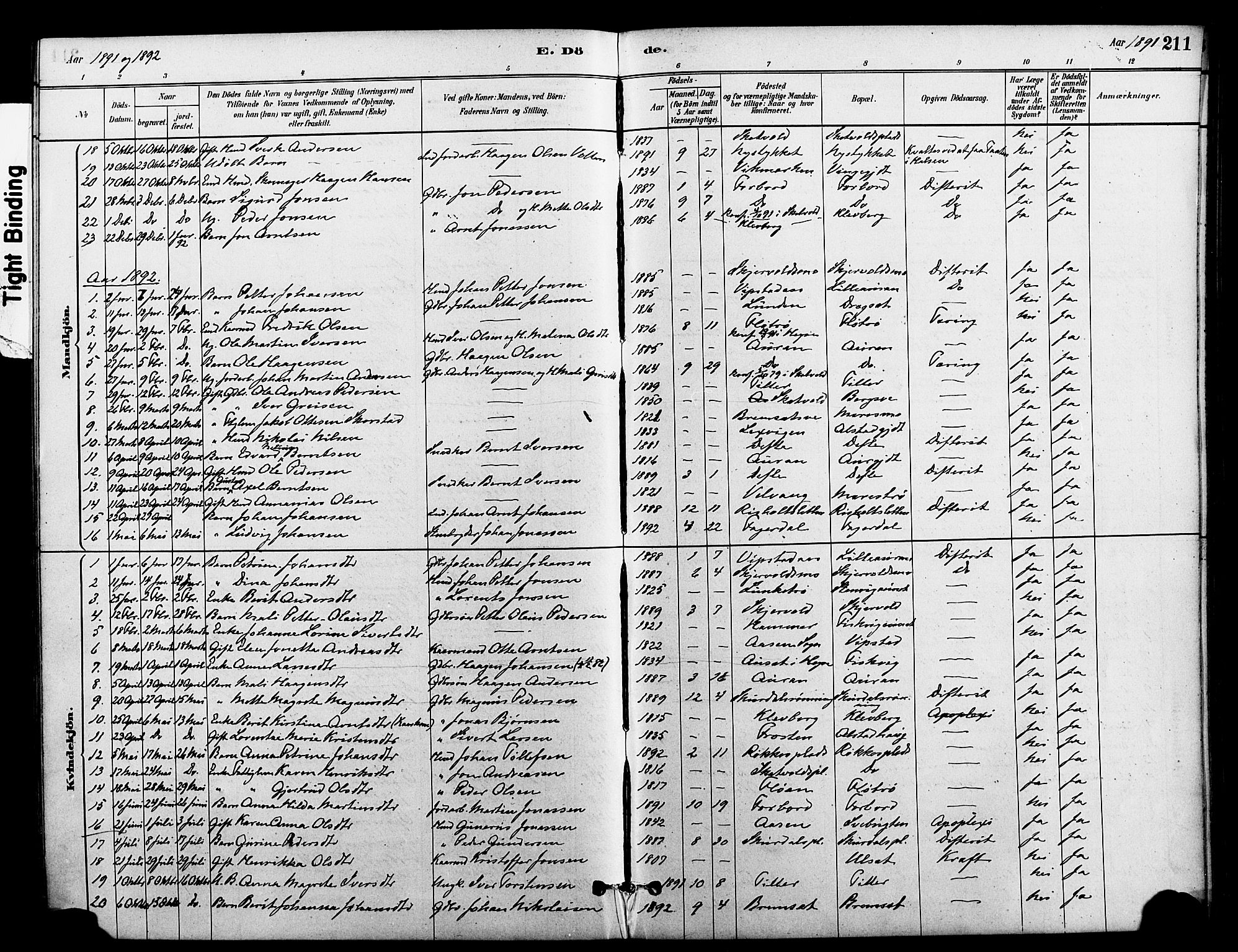 Ministerialprotokoller, klokkerbøker og fødselsregistre - Nord-Trøndelag, AV/SAT-A-1458/712/L0100: Parish register (official) no. 712A01, 1880-1900, p. 211