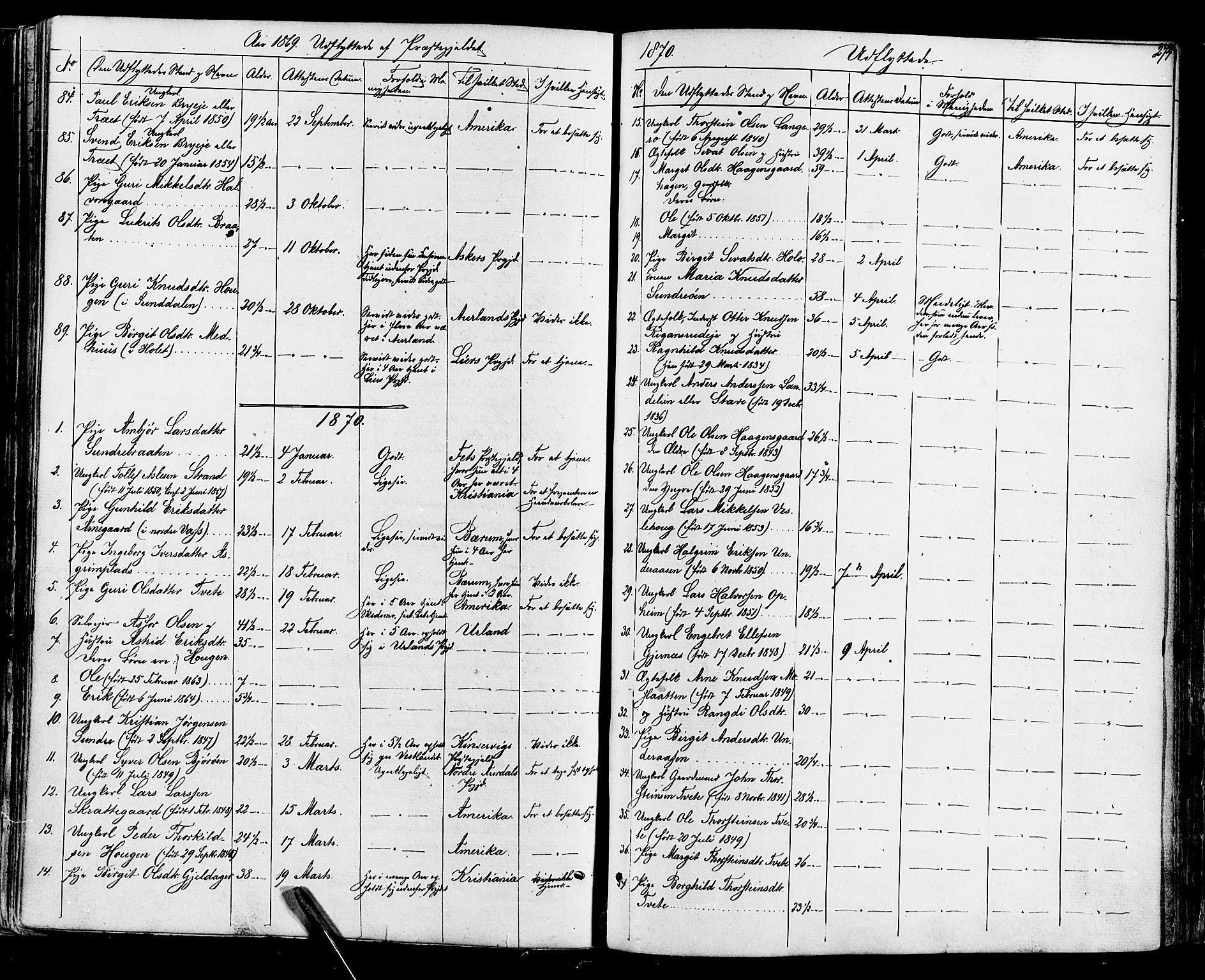 Ål kirkebøker, SAKO/A-249/F/Fa/L0007: Parish register (official) no. I 7, 1865-1881, p. 274