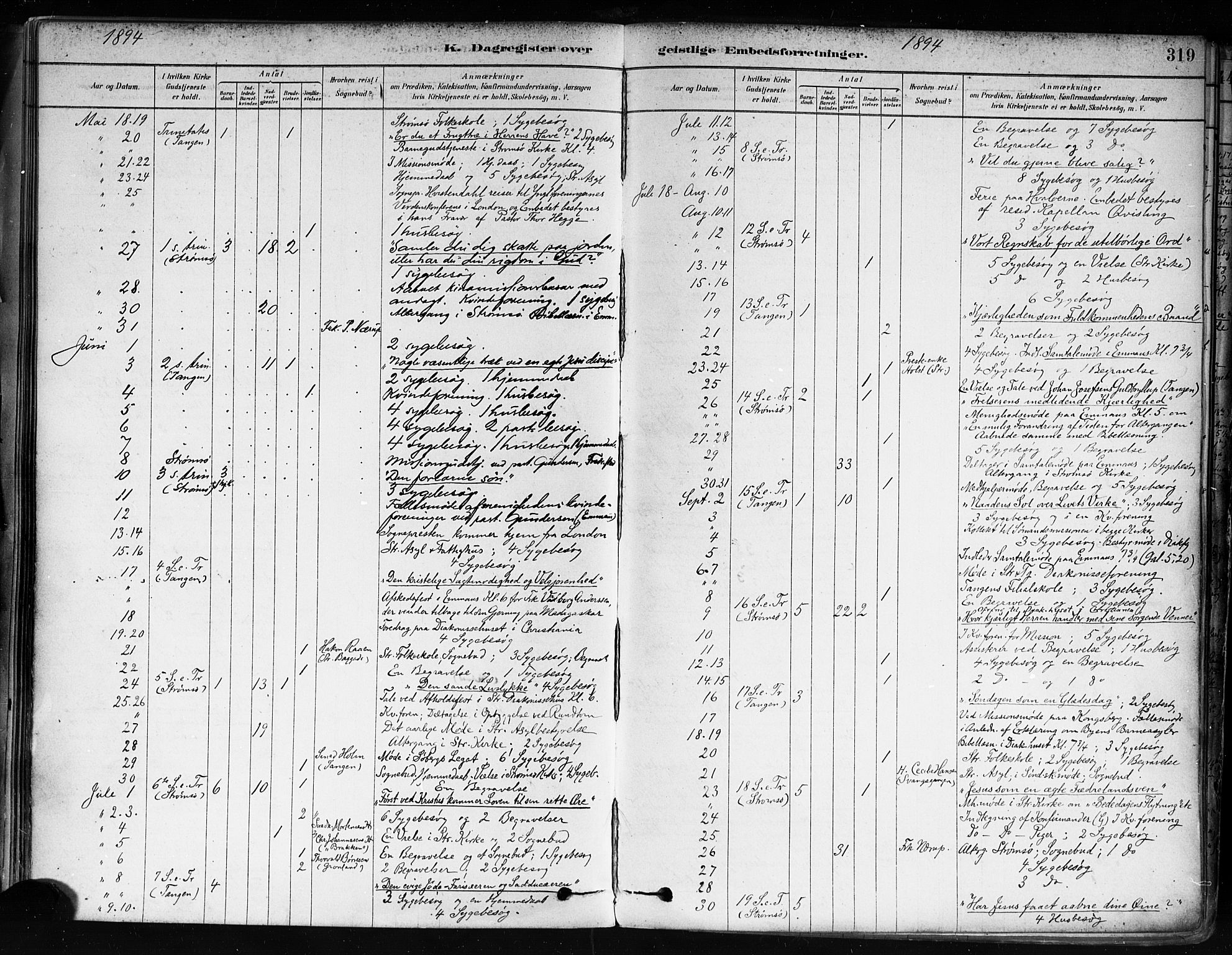 Strømsø kirkebøker, AV/SAKO-A-246/F/Fa/L0022: Parish register (official) no. I 22, 1879-1899, p. 319