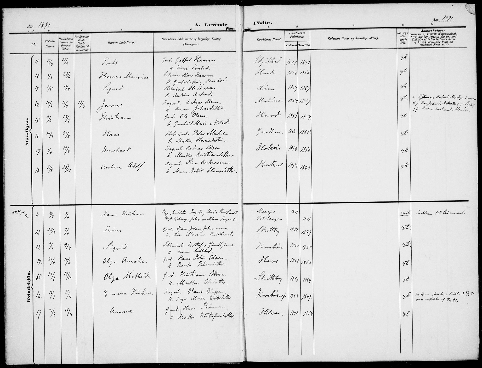 Modum kirkebøker, AV/SAKO-A-234/F/Fa/L0019: Parish register (official) no. 19, 1890-1914, p. 7