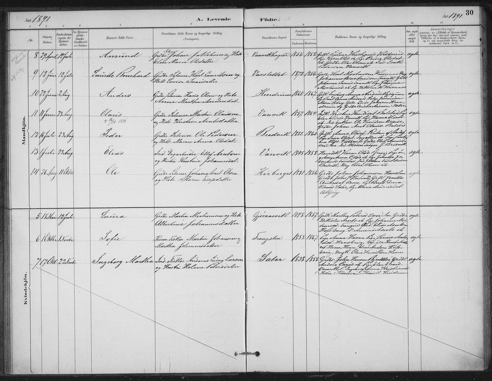 Ministerialprotokoller, klokkerbøker og fødselsregistre - Nord-Trøndelag, AV/SAT-A-1458/702/L0023: Parish register (official) no. 702A01, 1883-1897, p. 30