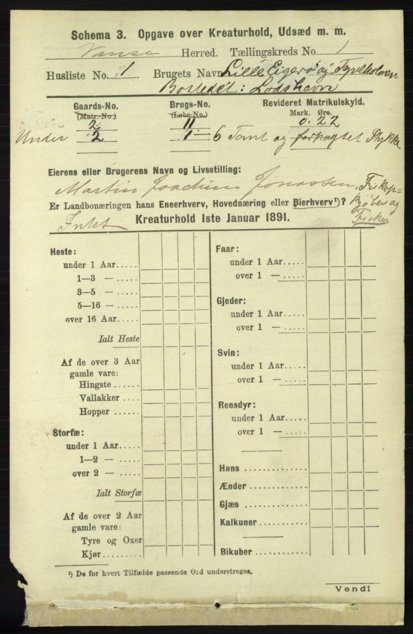 RA, 1891 census for 1041 Vanse, 1891, p. 7804