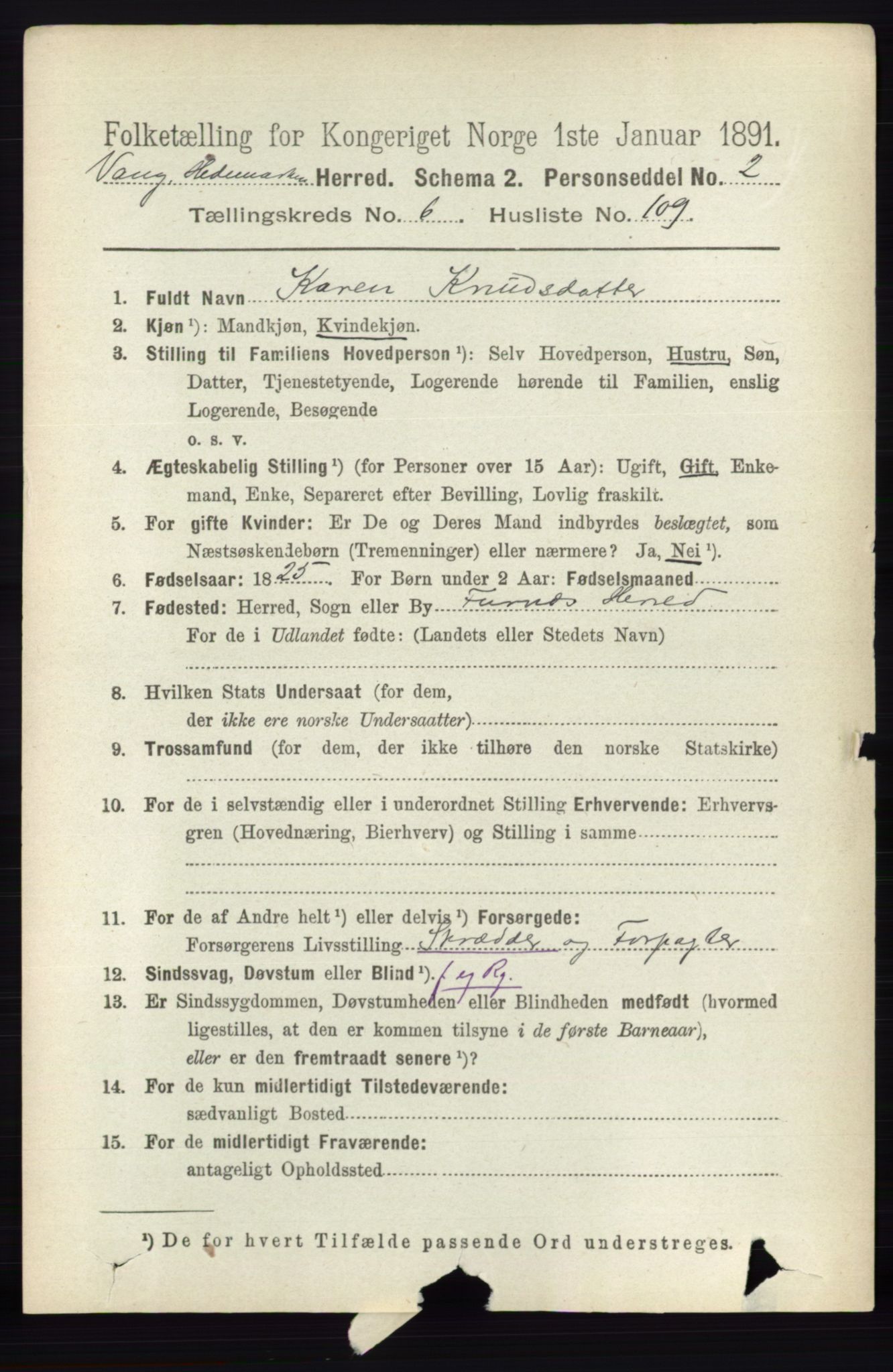 RA, 1891 census for 0414 Vang, 1891, p. 4916