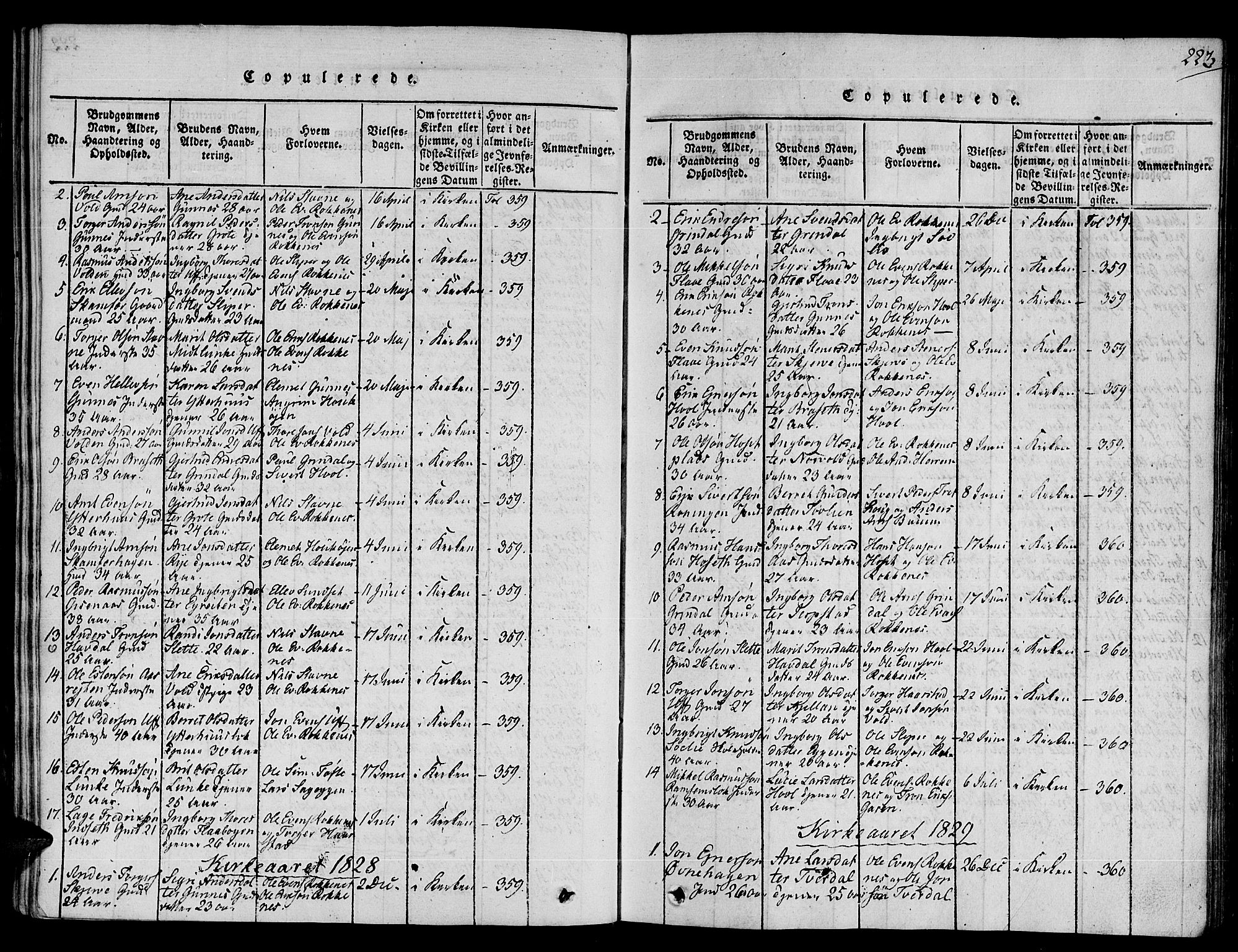 Ministerialprotokoller, klokkerbøker og fødselsregistre - Sør-Trøndelag, SAT/A-1456/672/L0854: Parish register (official) no. 672A06 /2, 1816-1829, p. 223
