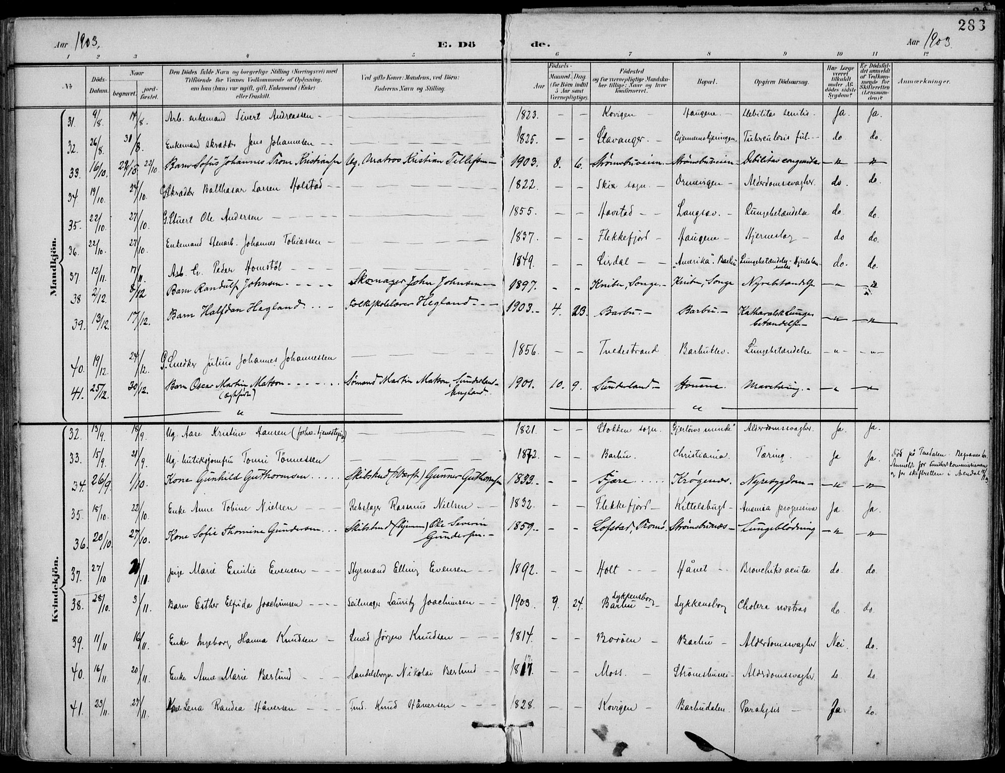 Barbu sokneprestkontor, AV/SAK-1111-0003/F/Fa/L0005: Parish register (official) no. A 5, 1899-1909, p. 283