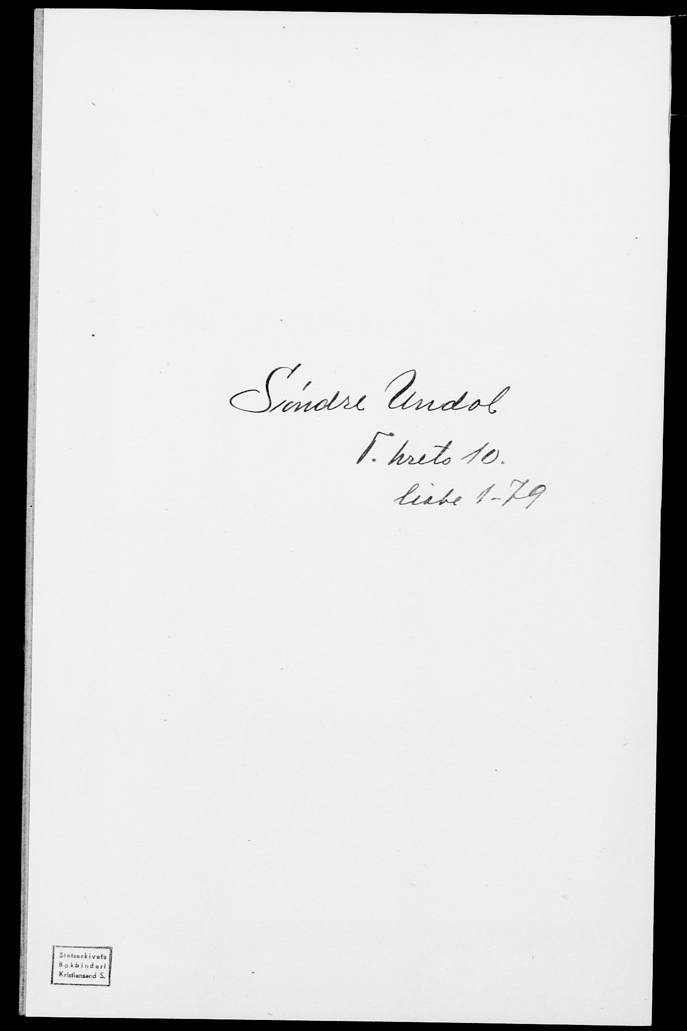 SAK, 1875 census for 1029P Sør-Audnedal, 1875, p. 1366