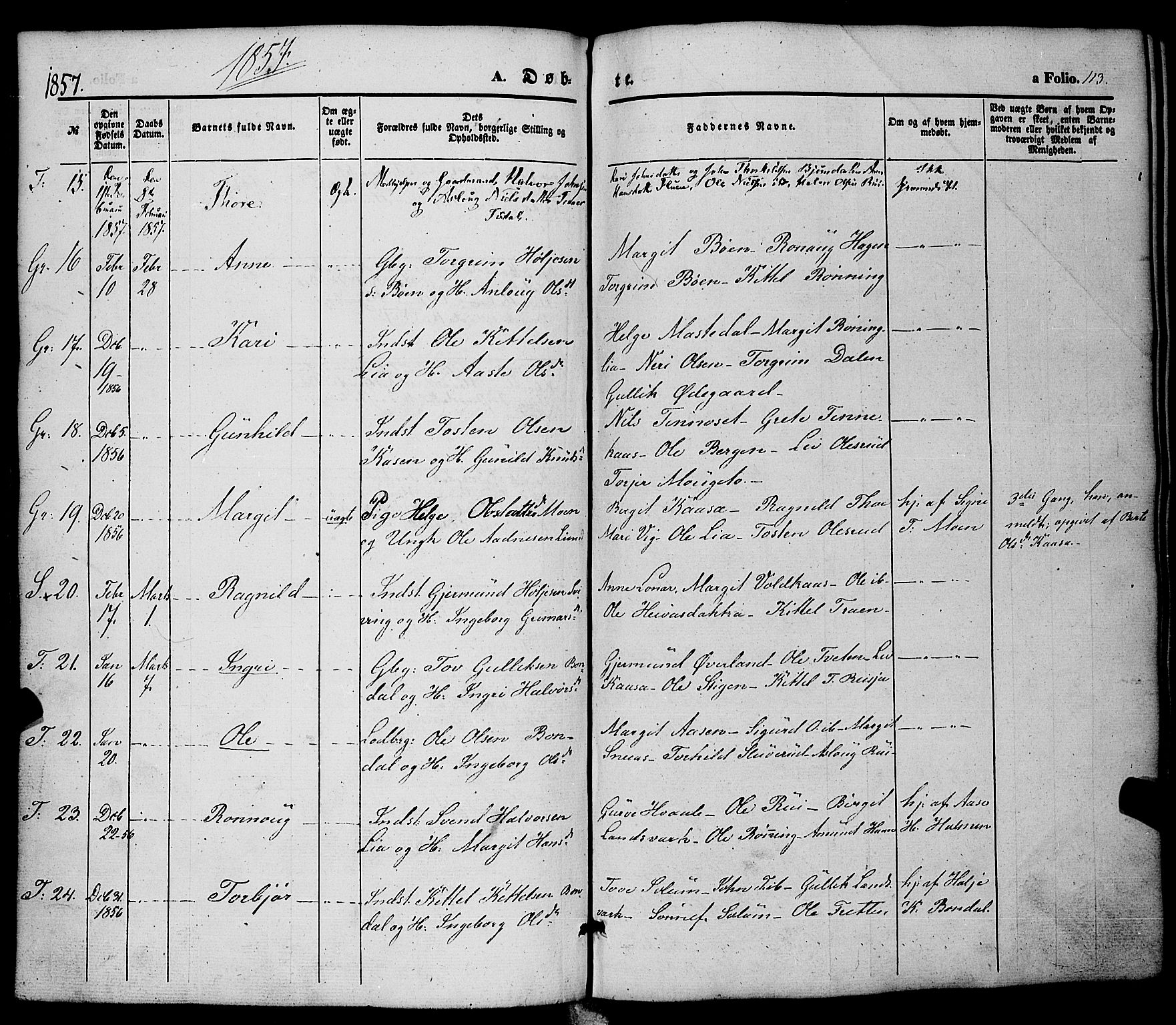 Hjartdal kirkebøker, AV/SAKO-A-270/F/Fa/L0008: Parish register (official) no. I 8, 1844-1859, p. 113