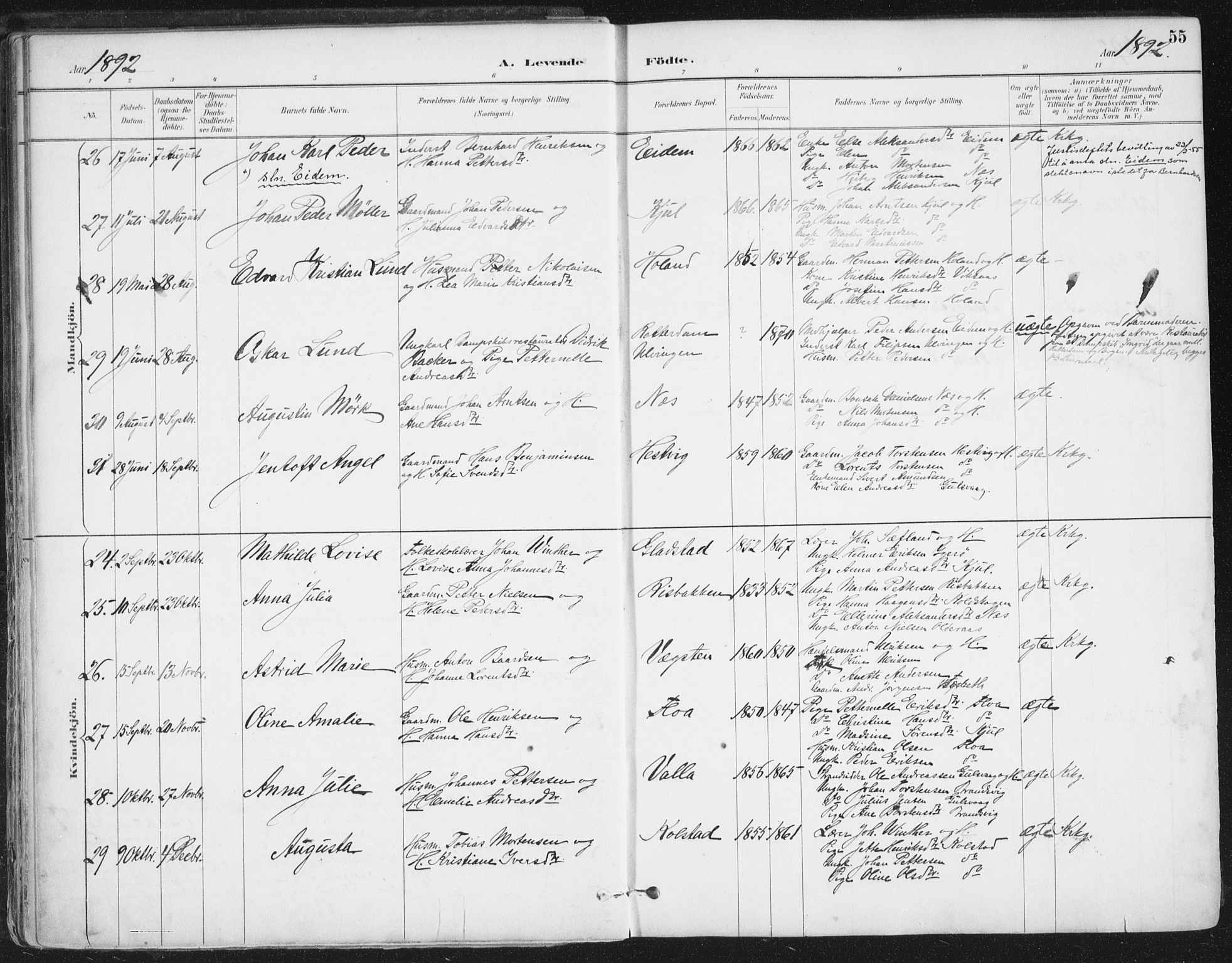 Ministerialprotokoller, klokkerbøker og fødselsregistre - Nordland, AV/SAT-A-1459/816/L0244: Parish register (official) no. 816A10, 1886-1903, p. 55