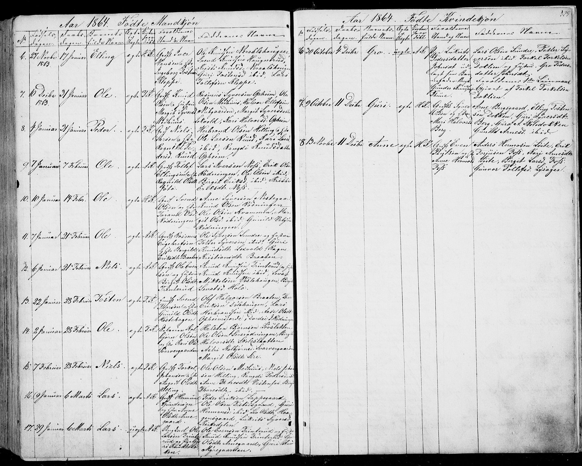 Ål kirkebøker, AV/SAKO-A-249/F/Fa/L0006: Parish register (official) no. I 6, 1849-1864, p. 325