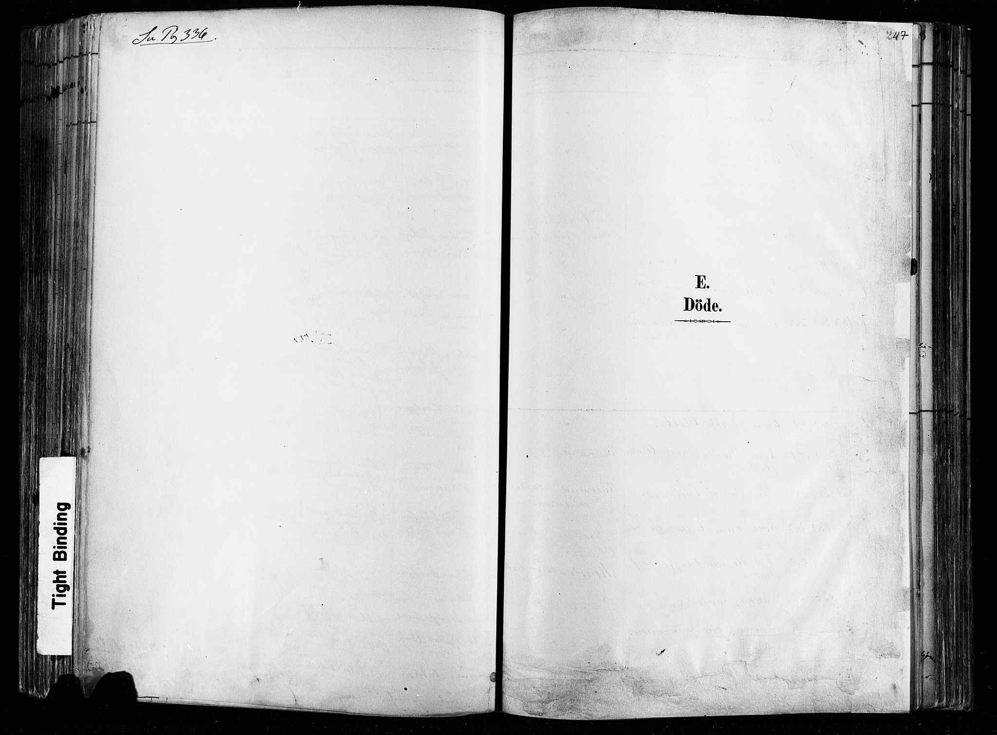 Østre Aker prestekontor Kirkebøker, SAO/A-10840/F/Fa/L0008: Parish register (official) no. I 8, 1883-1894, p. 247