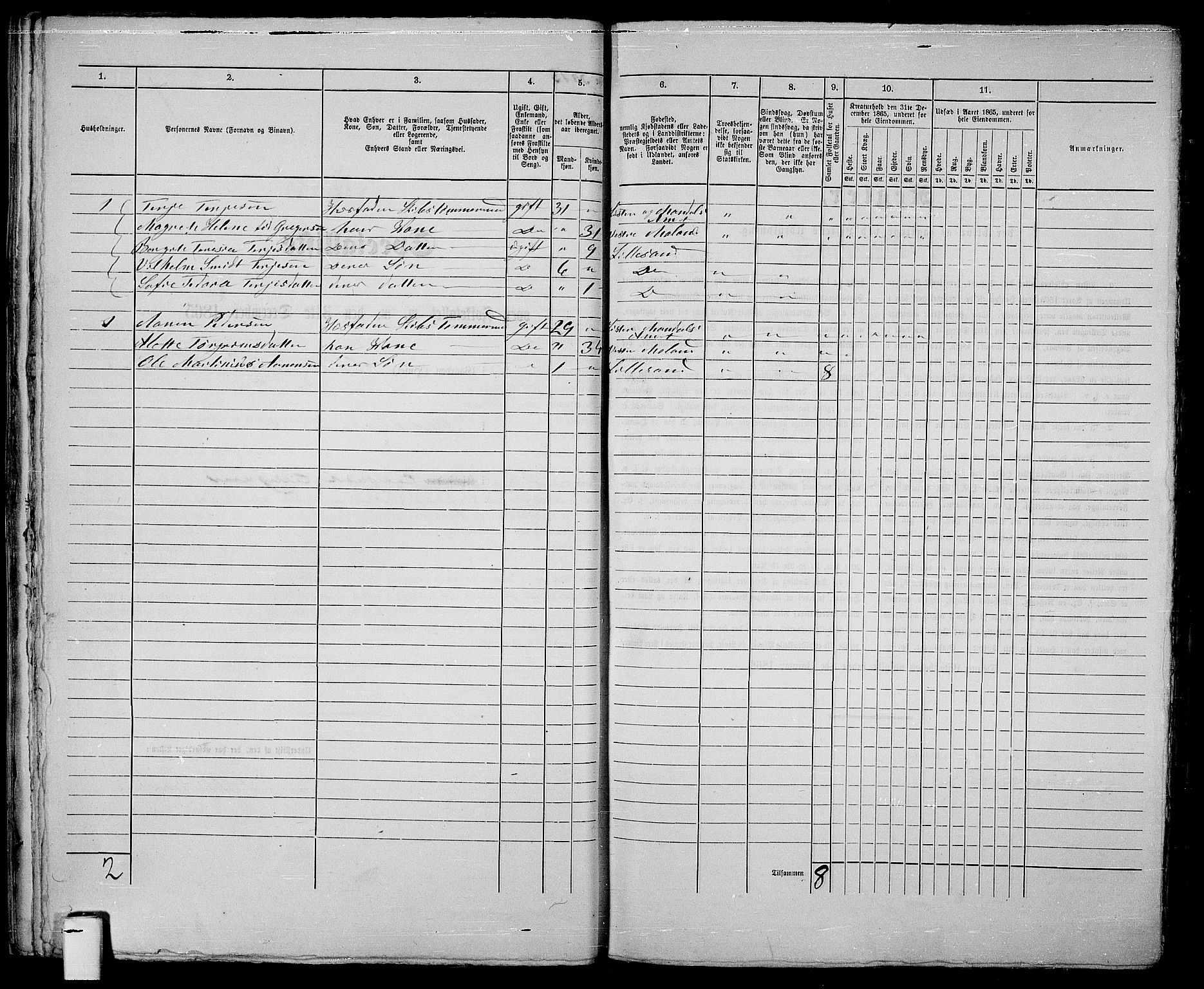 RA, 1865 census for Vestre Moland/Lillesand, 1865, p. 33