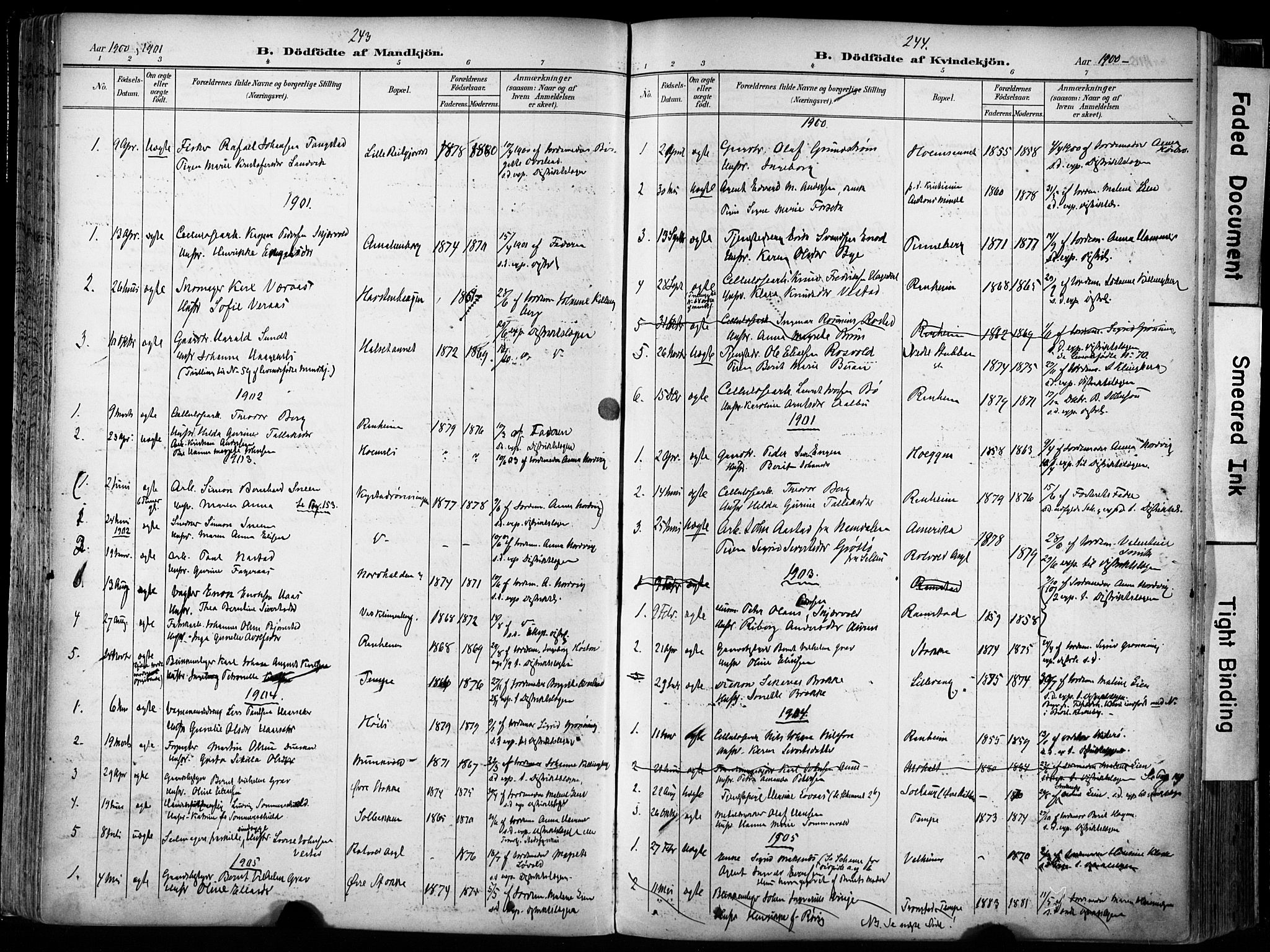 Ministerialprotokoller, klokkerbøker og fødselsregistre - Sør-Trøndelag, SAT/A-1456/606/L0301: Parish register (official) no. 606A16, 1894-1907, p. 243-244