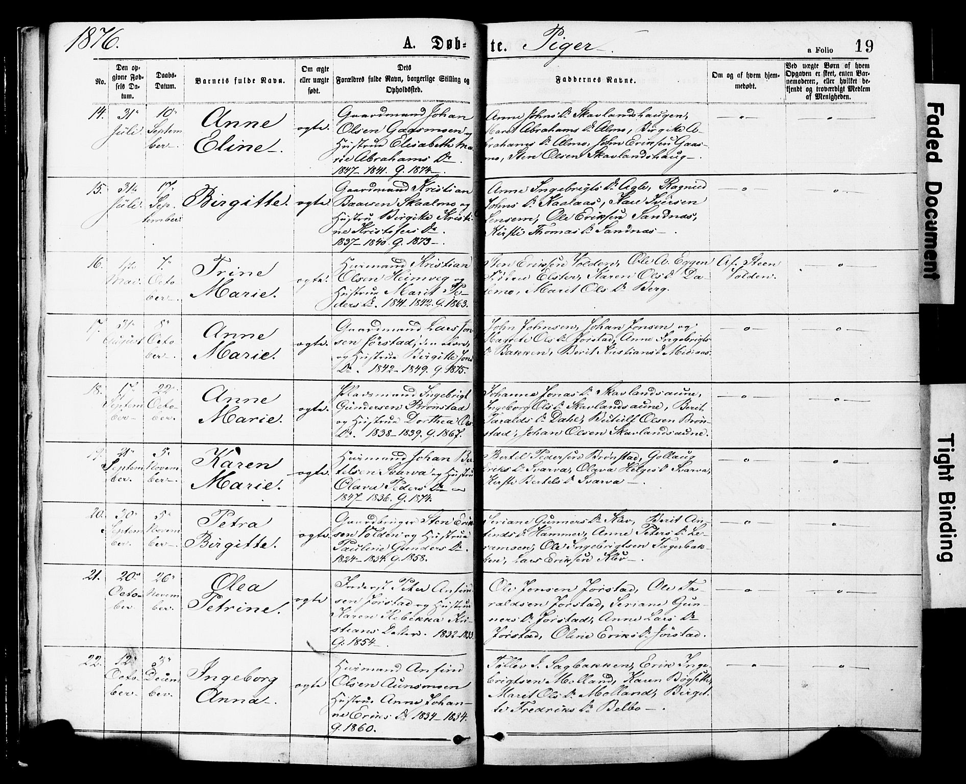 Ministerialprotokoller, klokkerbøker og fødselsregistre - Nord-Trøndelag, AV/SAT-A-1458/749/L0473: Parish register (official) no. 749A07, 1873-1887, p. 19