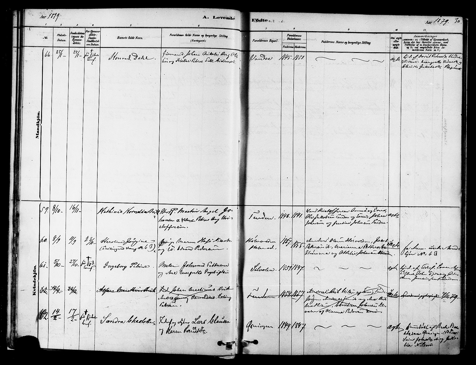 Ministerialprotokoller, klokkerbøker og fødselsregistre - Nordland, SAT/A-1459/834/L0507: Parish register (official) no. 834A05, 1878-1892, p. 30