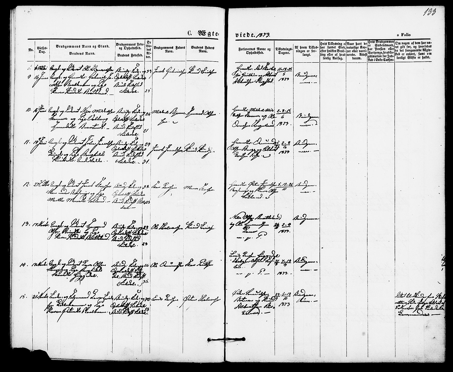 Suldal sokneprestkontor, AV/SAST-A-101845/01/IV/L0010: Parish register (official) no. A 10, 1869-1878, p. 133