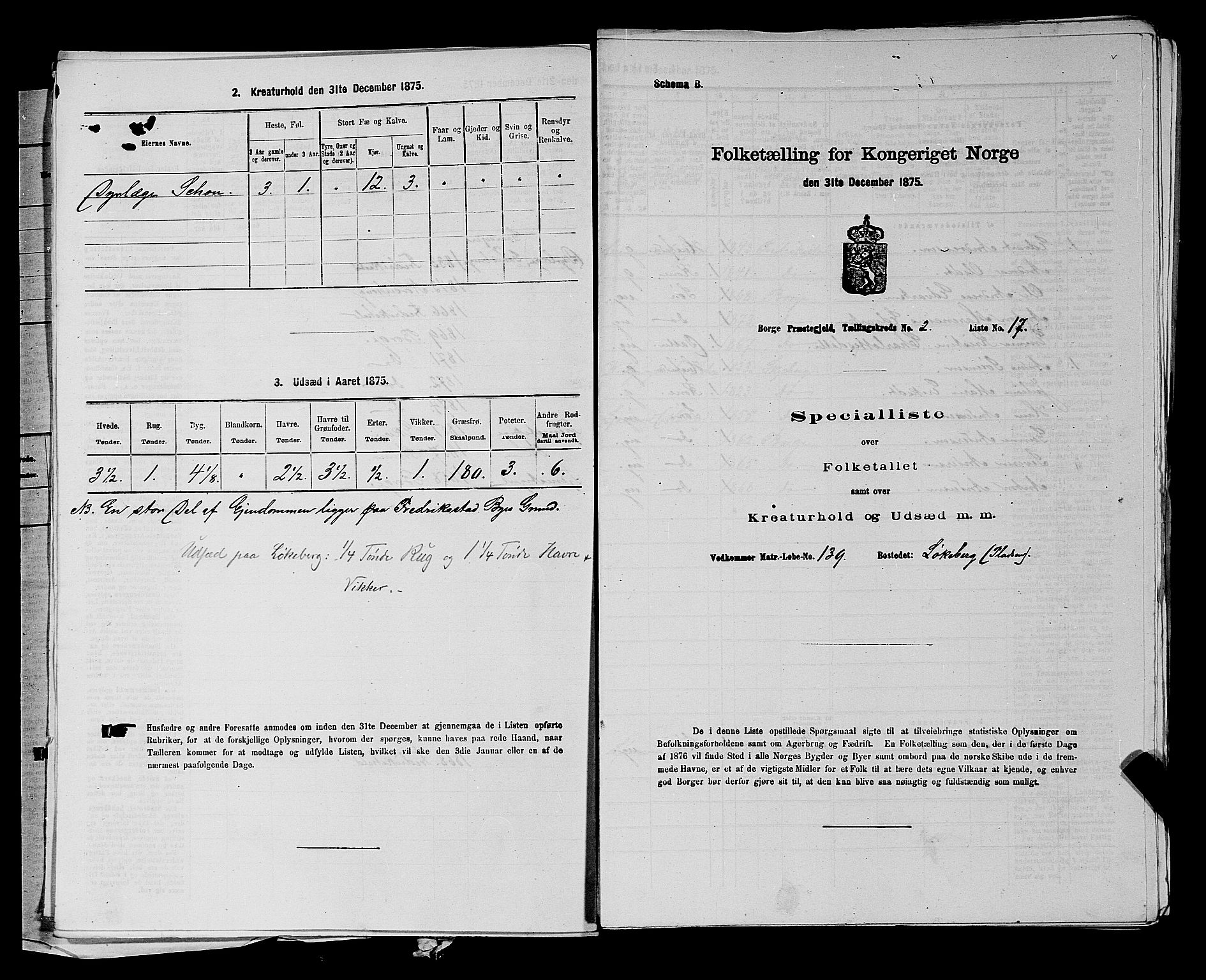 RA, 1875 census for 0113P Borge, 1875, p. 201