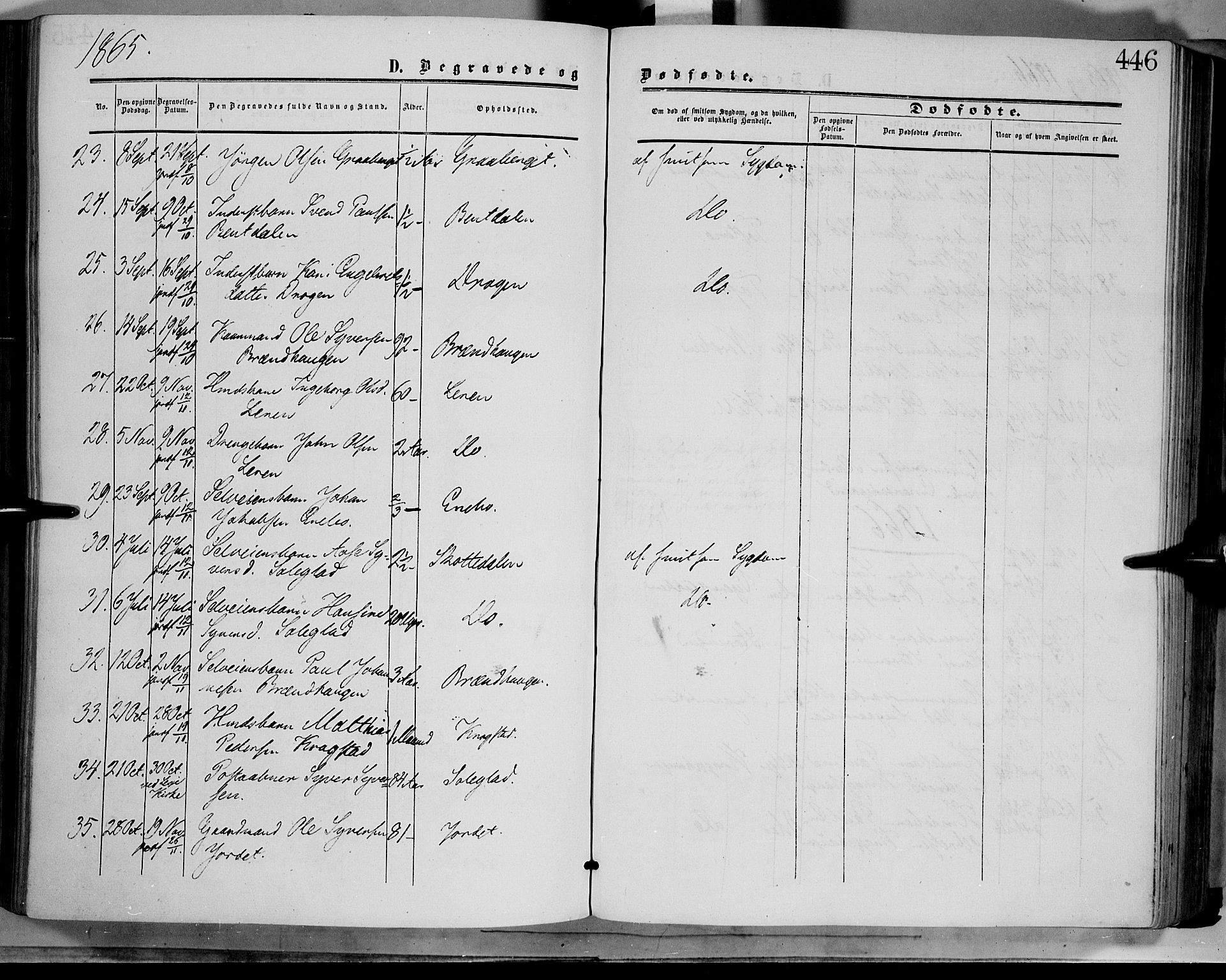 Dovre prestekontor, SAH/PREST-066/H/Ha/Haa/L0001: Parish register (official) no. 1, 1854-1878, p. 446