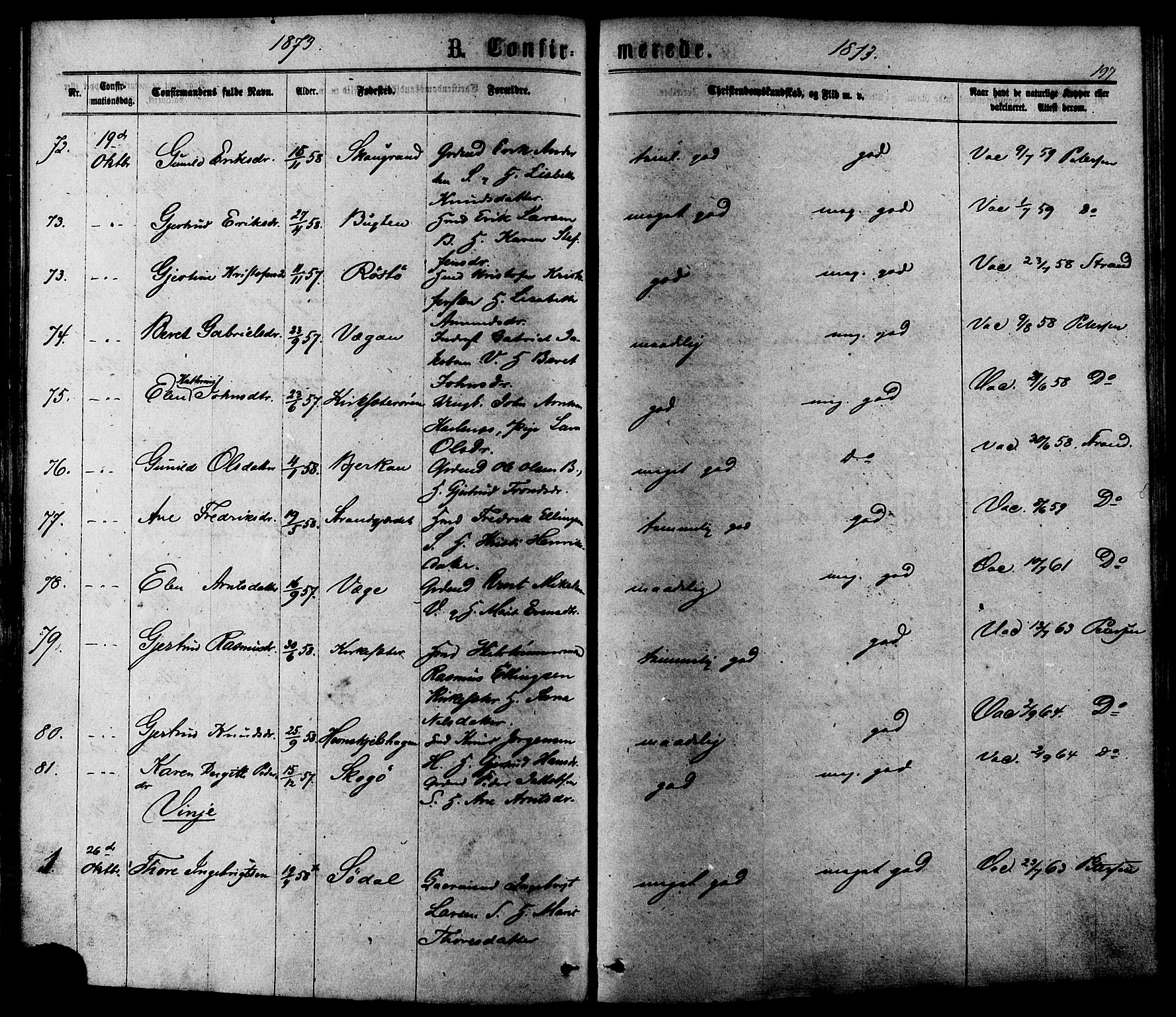 Ministerialprotokoller, klokkerbøker og fødselsregistre - Sør-Trøndelag, SAT/A-1456/630/L0495: Parish register (official) no. 630A08, 1868-1878, p. 197