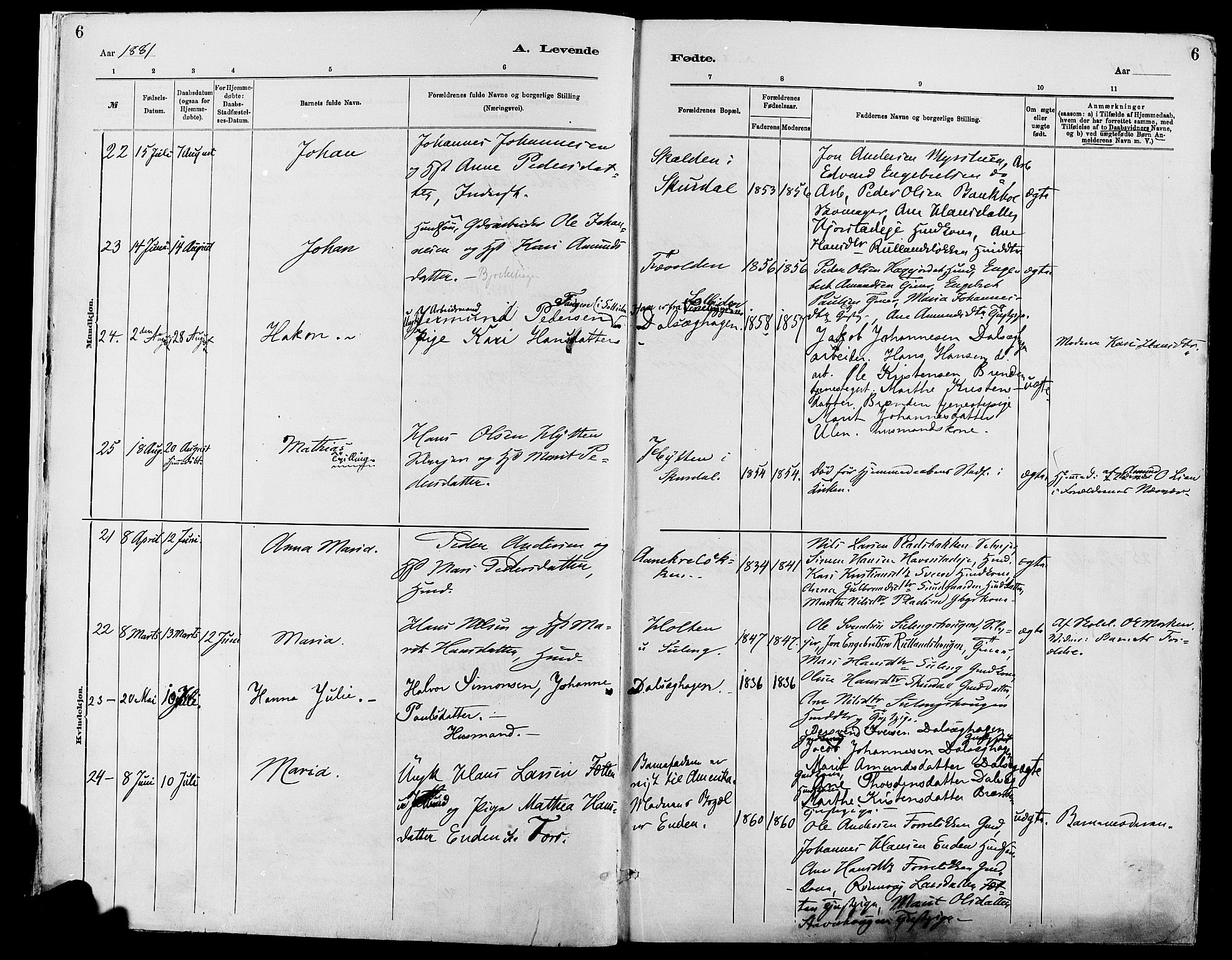 Sør-Fron prestekontor, SAH/PREST-010/H/Ha/Haa/L0003: Parish register (official) no. 3, 1881-1897, p. 6
