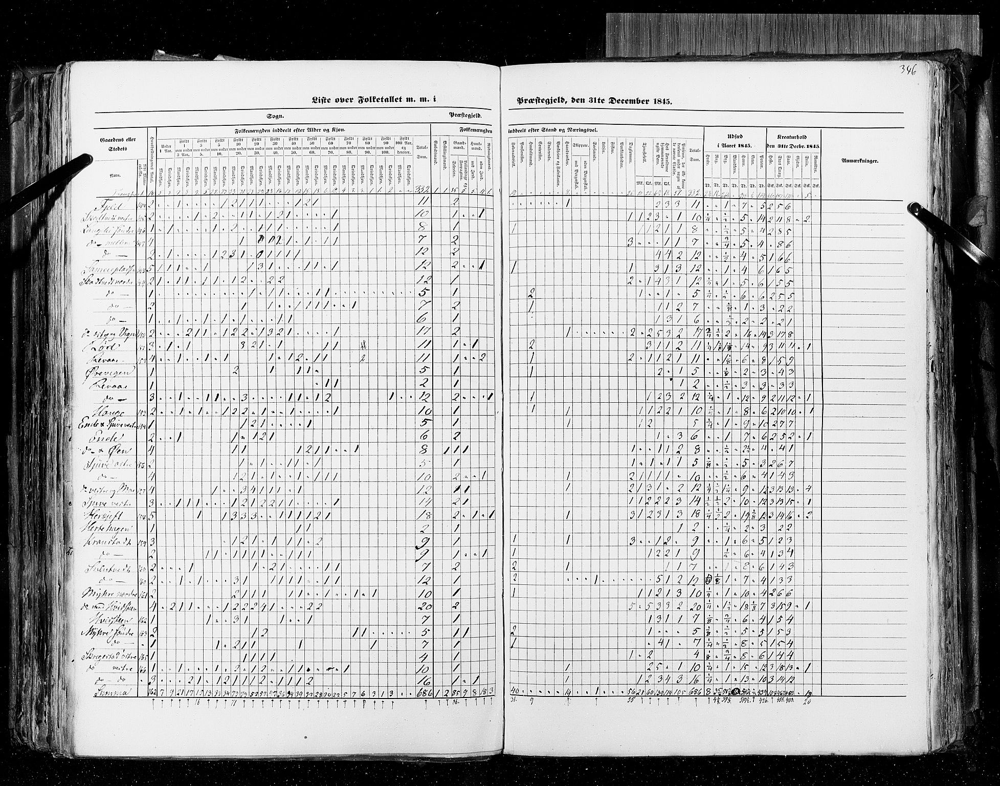 RA, Census 1845, vol. 4: Buskerud amt og Jarlsberg og Larvik amt, 1845, p. 346