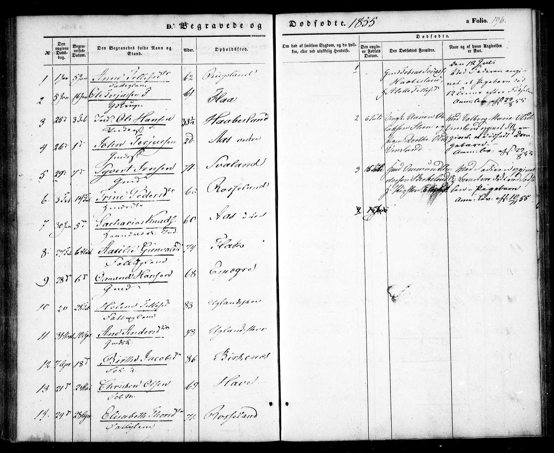 Birkenes sokneprestkontor, AV/SAK-1111-0004/F/Fa/L0003: Parish register (official) no. A 3, 1850-1866, p. 196