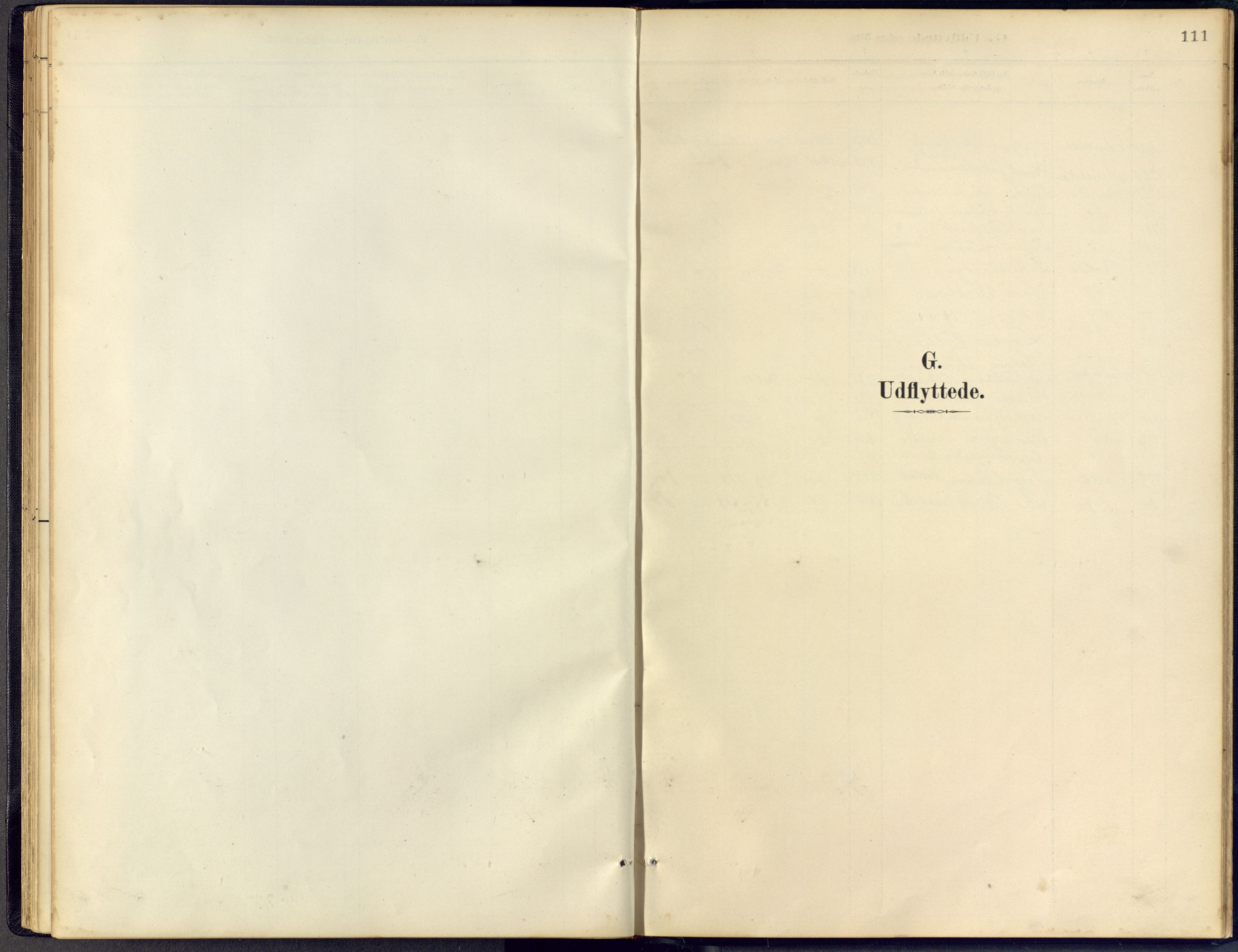 Vinje kirkebøker, AV/SAKO-A-312/F/Fb/L0002: Parish register (official) no. II 2, 1887-1925, p. 111