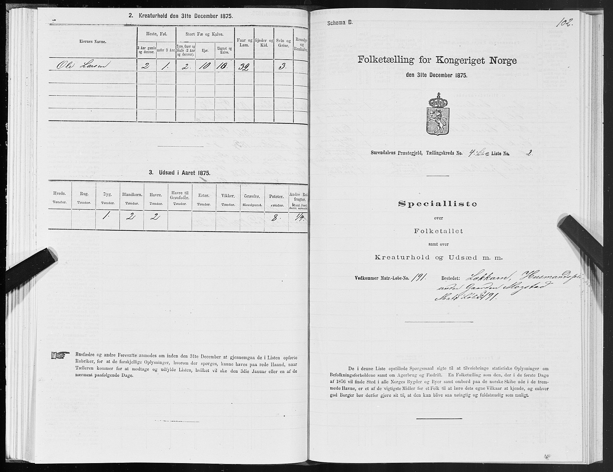 SAT, 1875 census for 1566P Surnadal, 1875, p. 2102