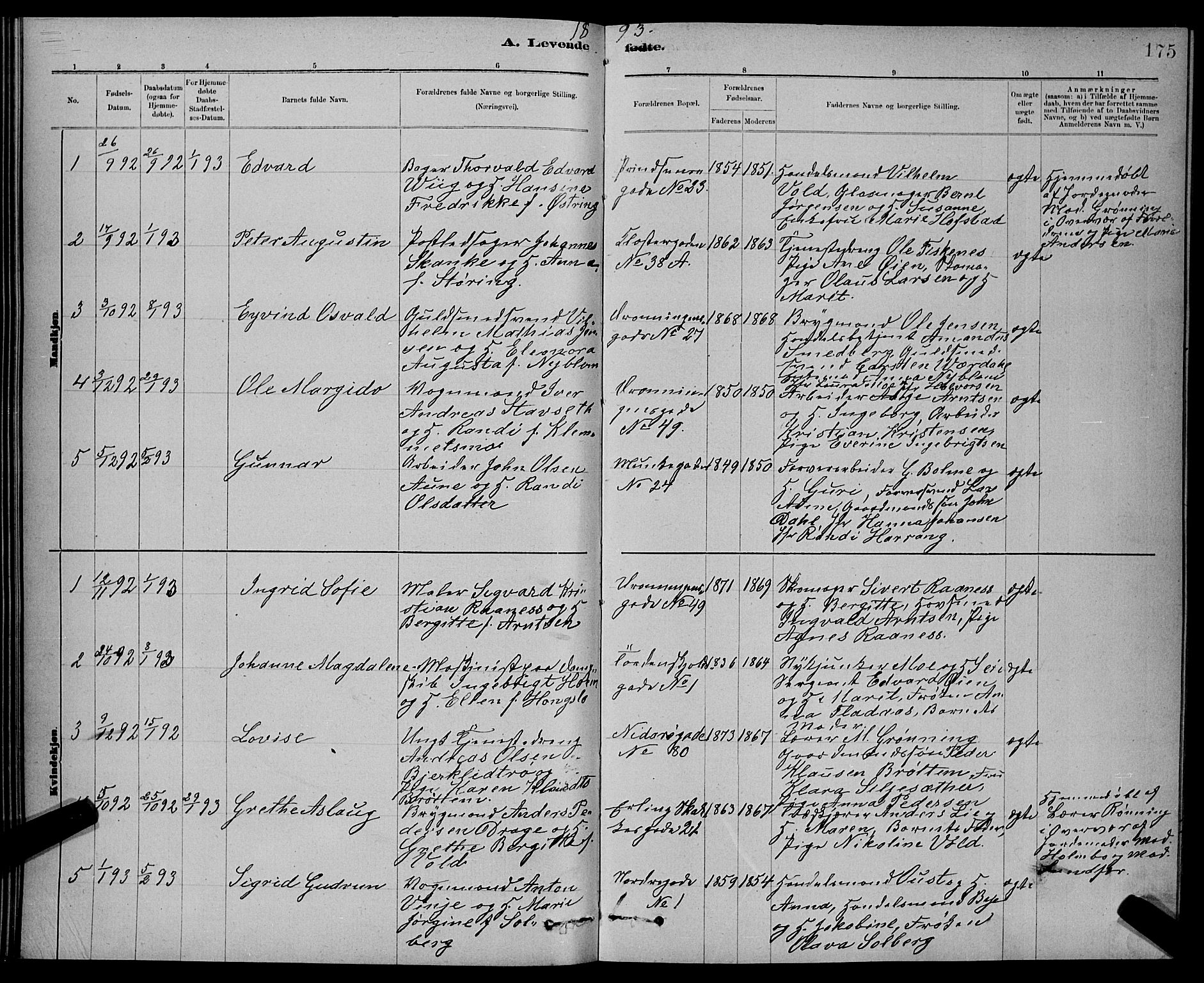 Ministerialprotokoller, klokkerbøker og fødselsregistre - Sør-Trøndelag, SAT/A-1456/601/L0092: Parish register (copy) no. 601C10, 1884-1897, p. 175