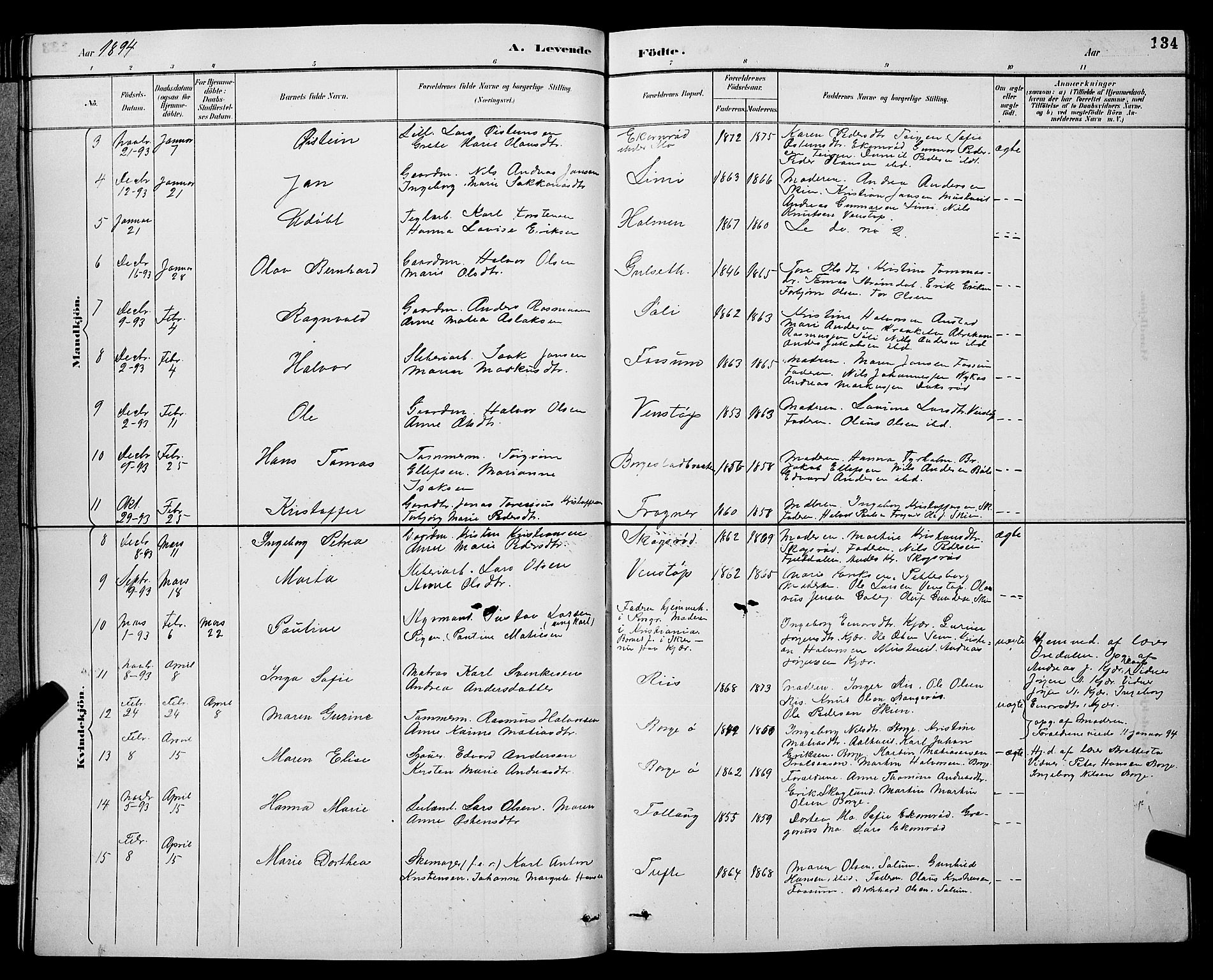 Gjerpen kirkebøker, SAKO/A-265/G/Ga/L0002: Parish register (copy) no. I 2, 1883-1900, p. 134